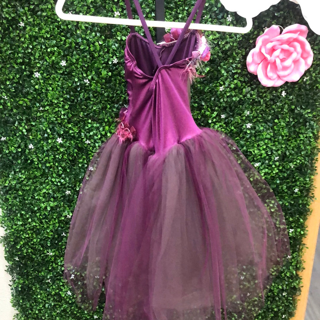 Child Intermediate Maroon Ballet Costume