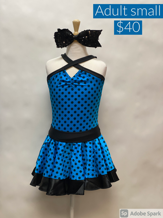 Adult Small Blue Polkadot Costume