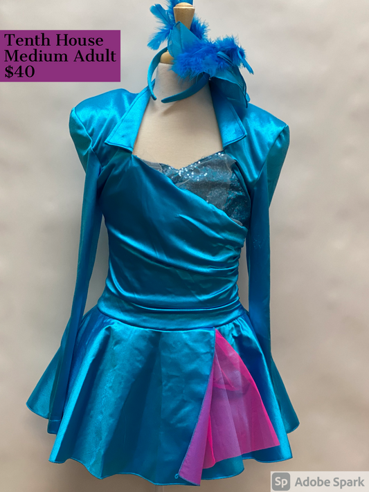 Adult Medium Blue and Pink Long Sleeve Costume