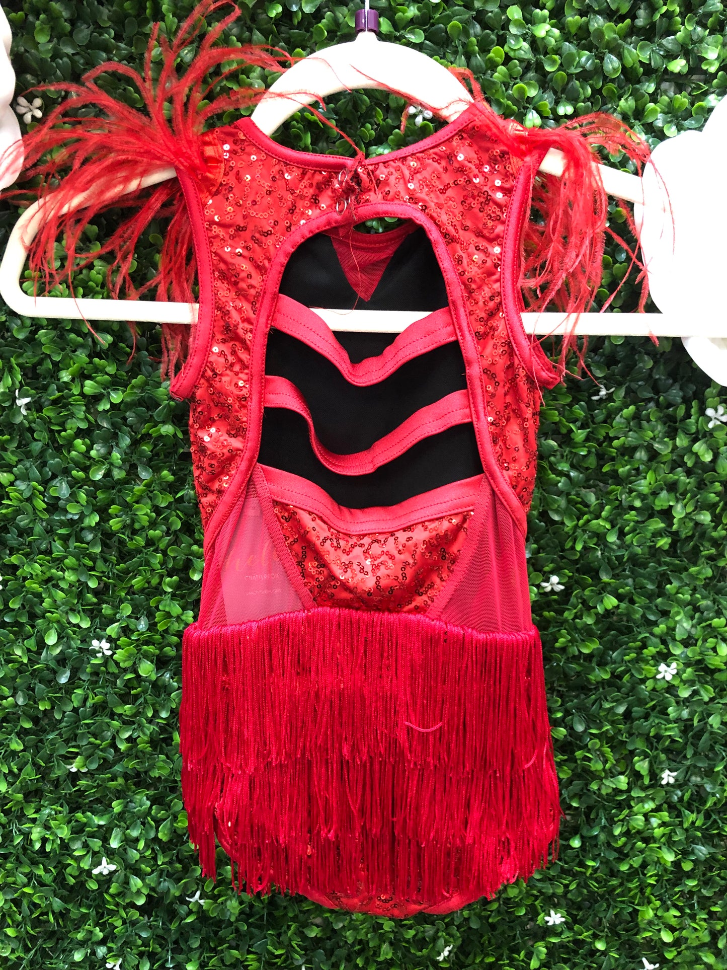 Child Small Red Fringe Feather Costume