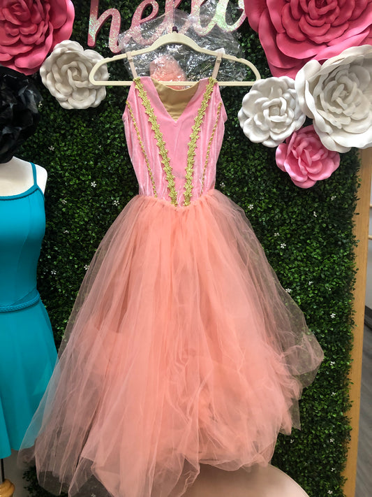 Adult Small Pink and Gold Ballet Costume