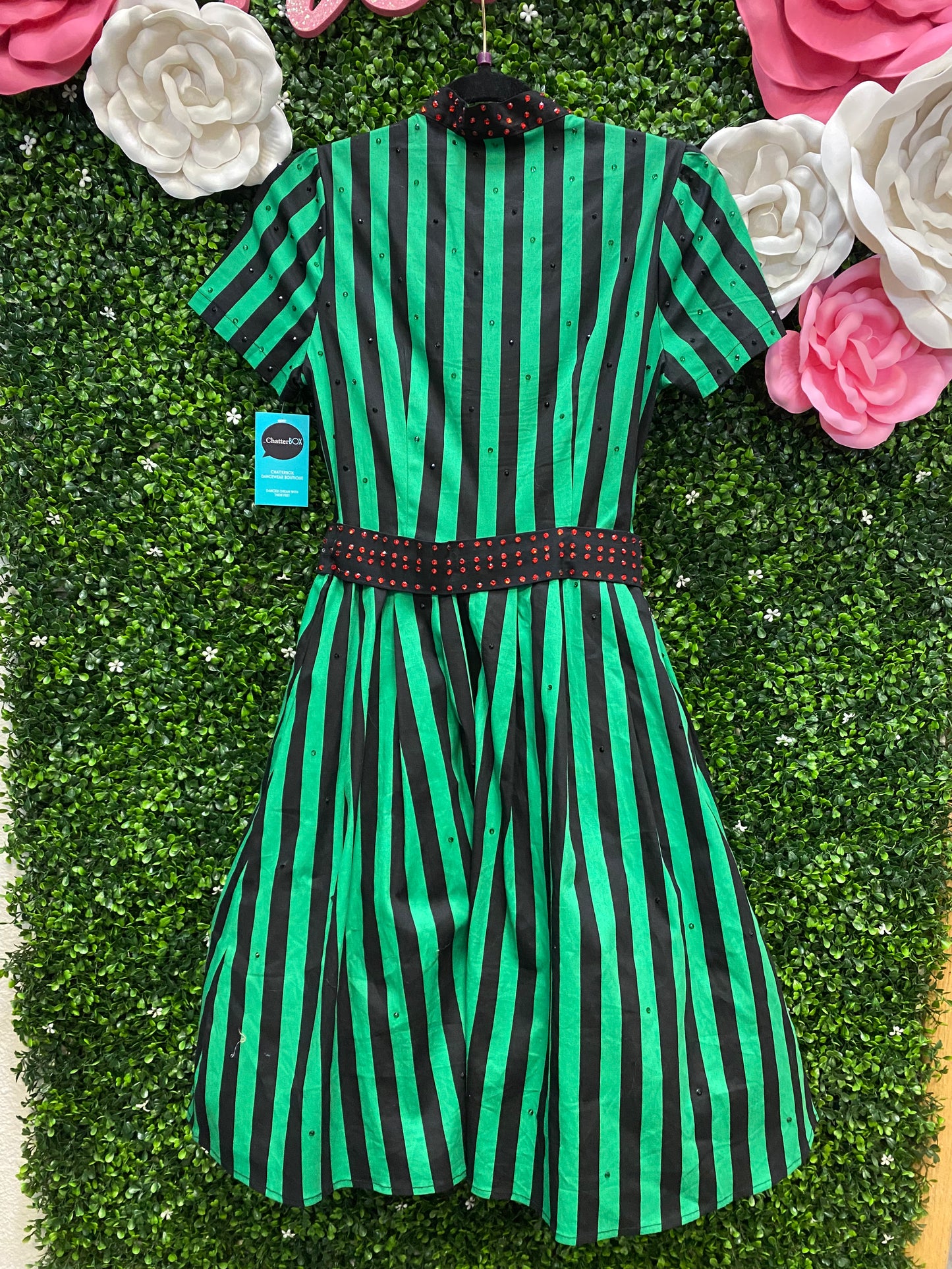 Adult Small Green and Black Stripped Costume