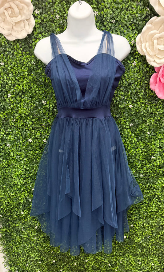 Adult Medium Blue Dress