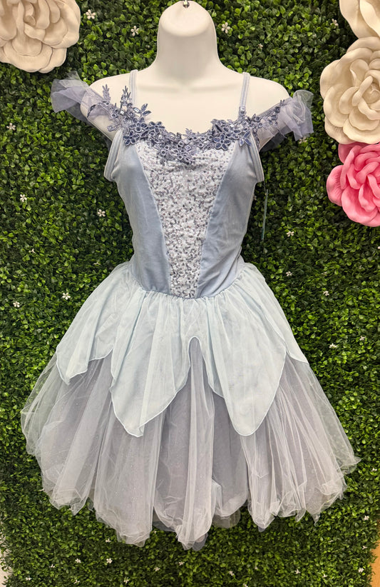 Adult X-Small Blue Ballet Costume