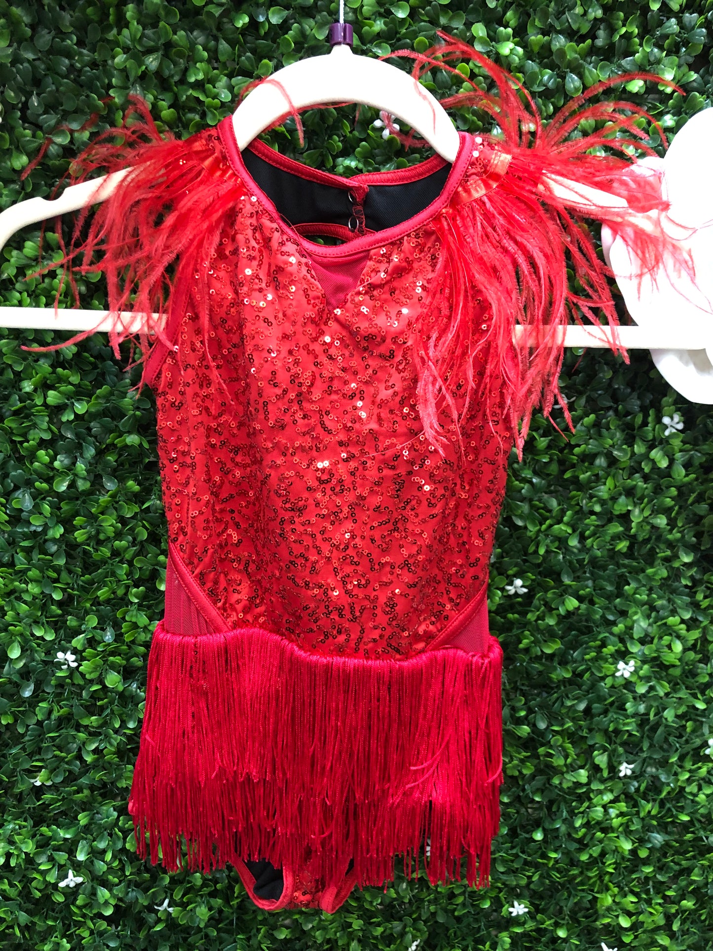 Child Small Red Fringe Feather Costume