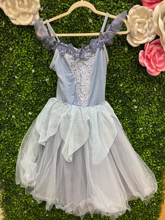 Adult X-Small Blue Ballet Costume