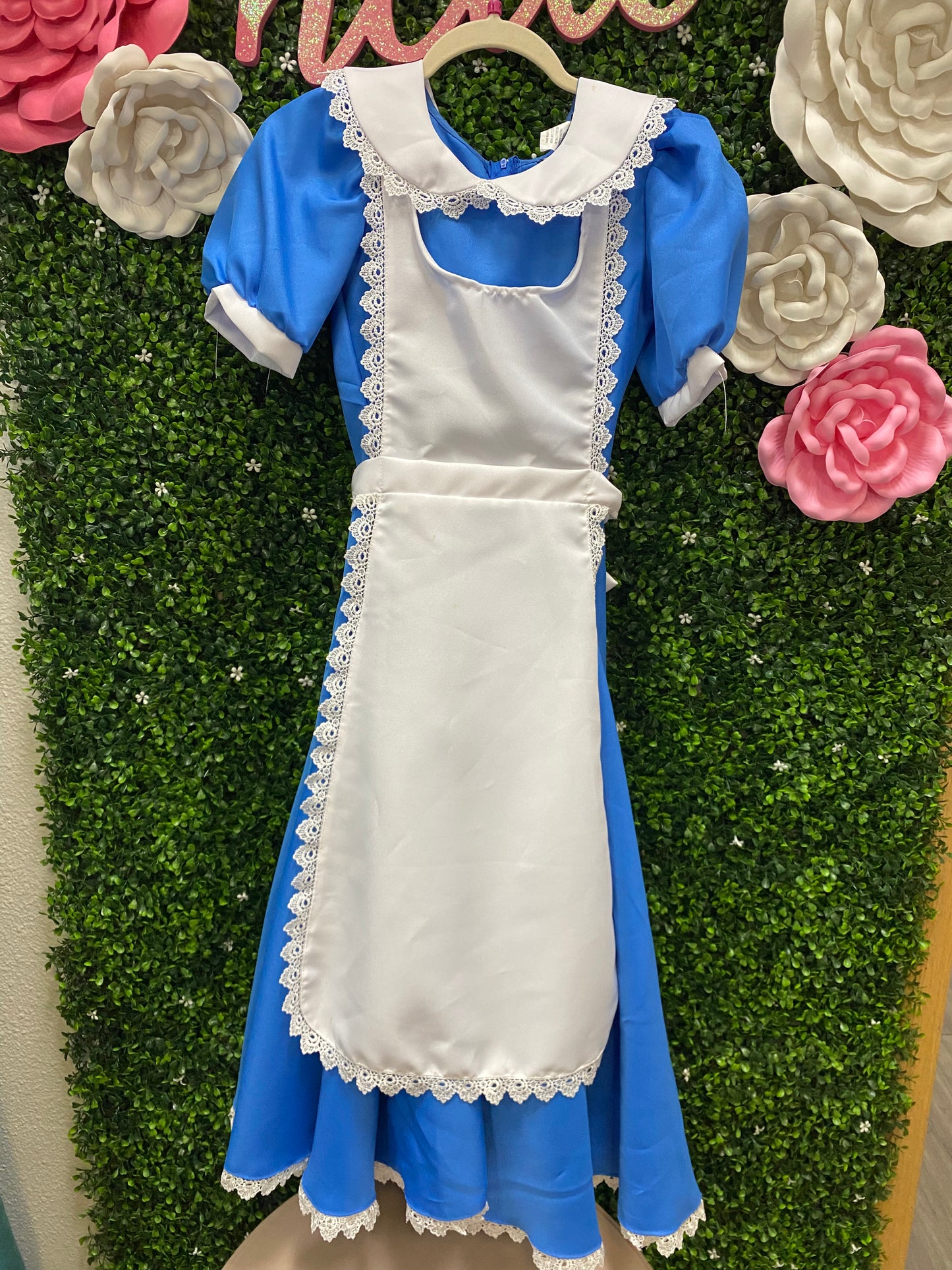 Adult X-Small Alice Costume