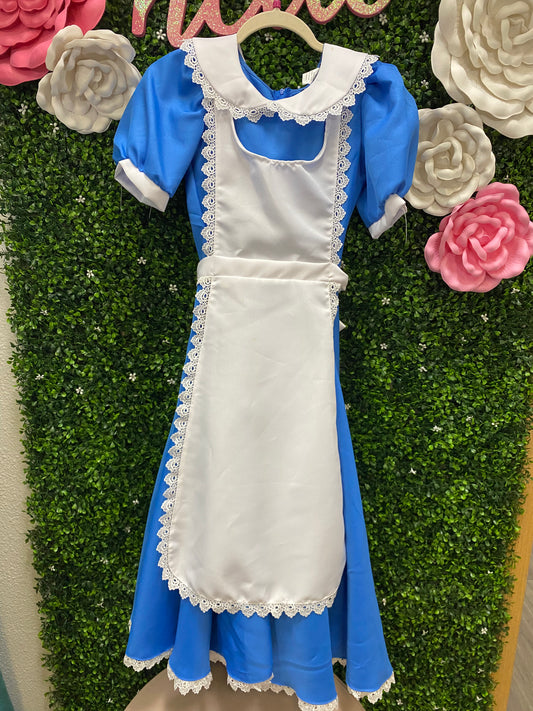 Adult X-Small Alice Costume