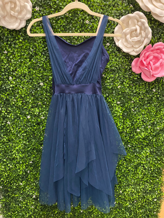 Adult Medium Blue Dress