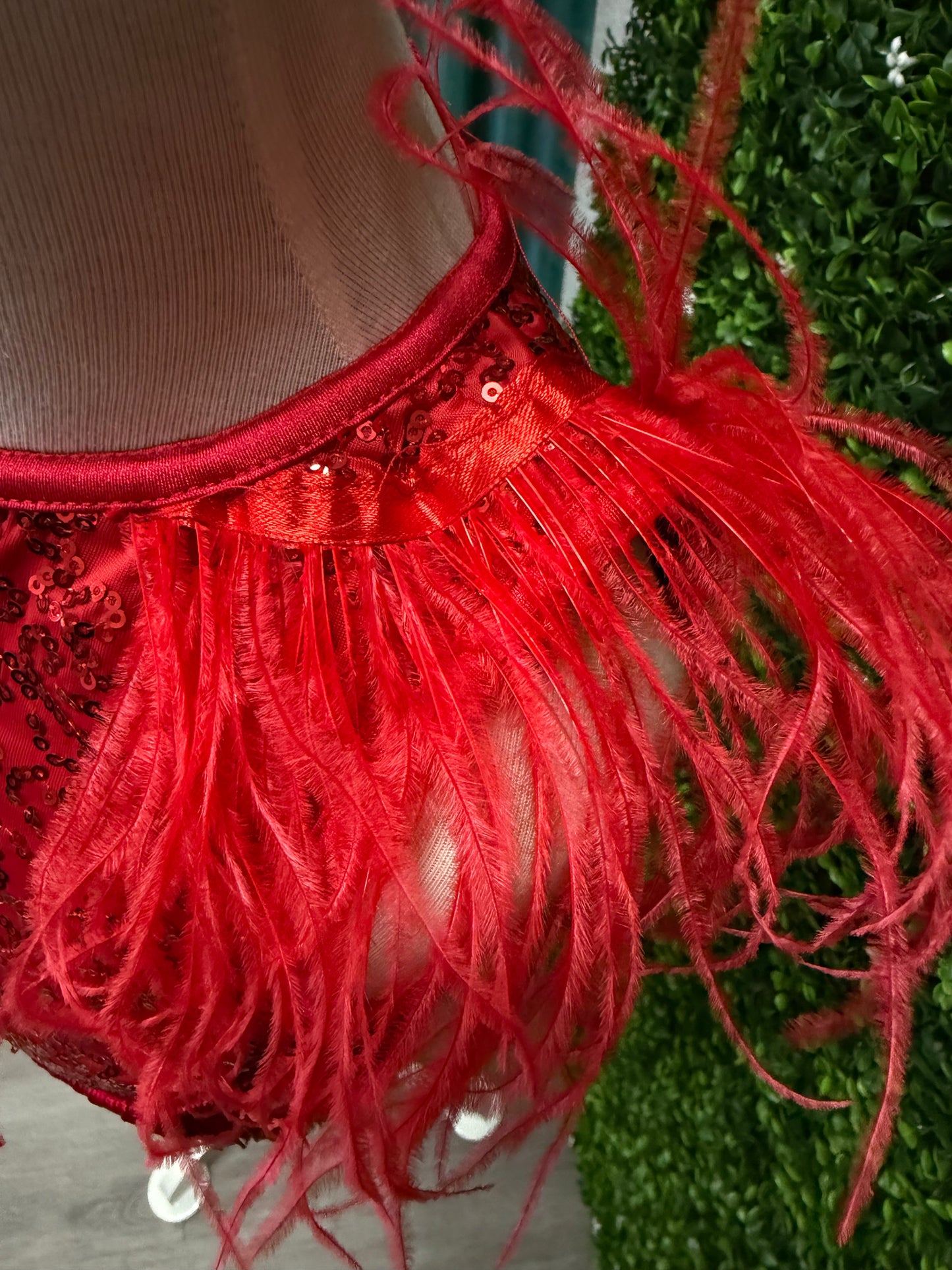 Child Small Red Fringe Feather Costume