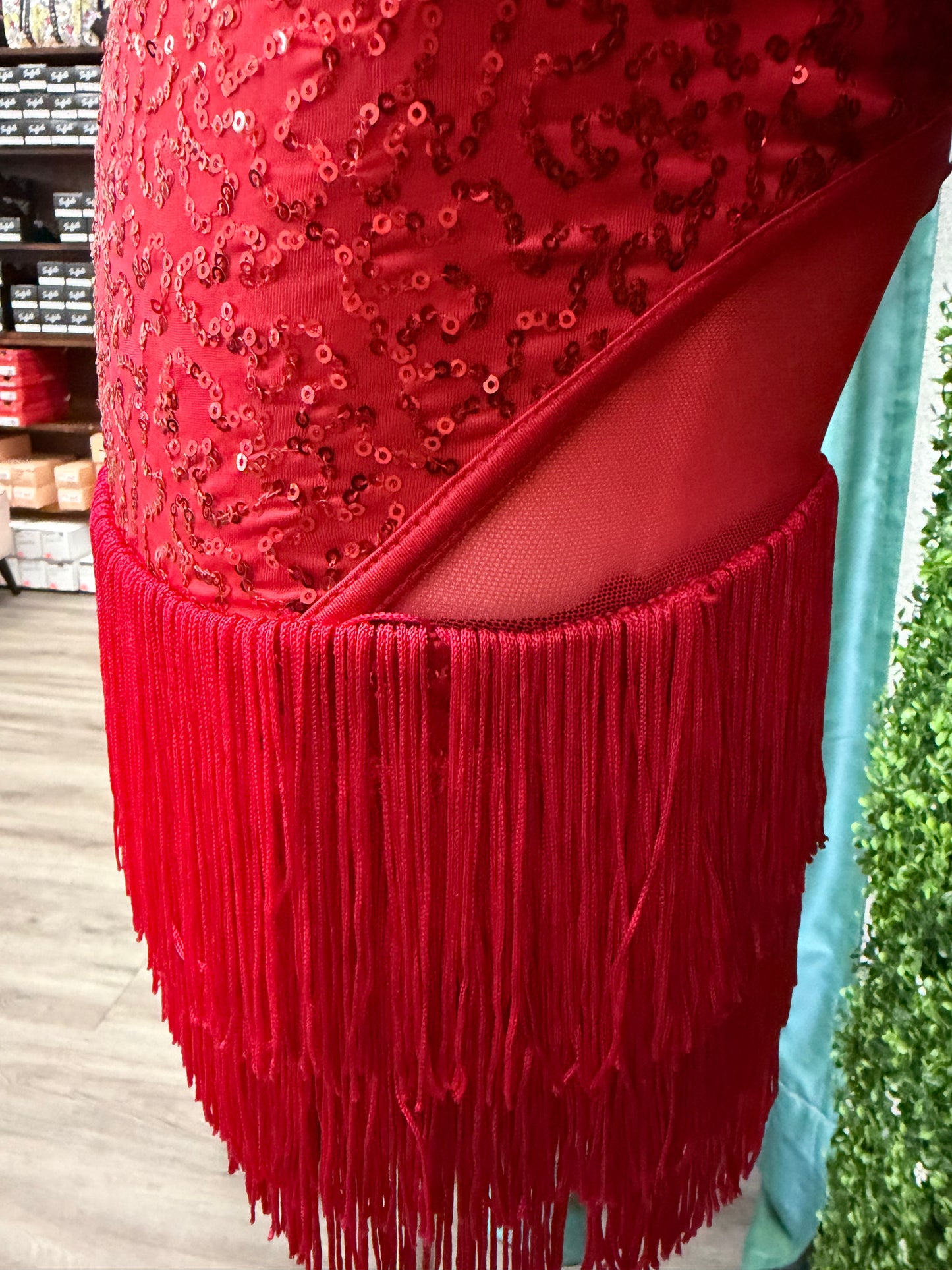 Child Small Red Fringe Feather Costume