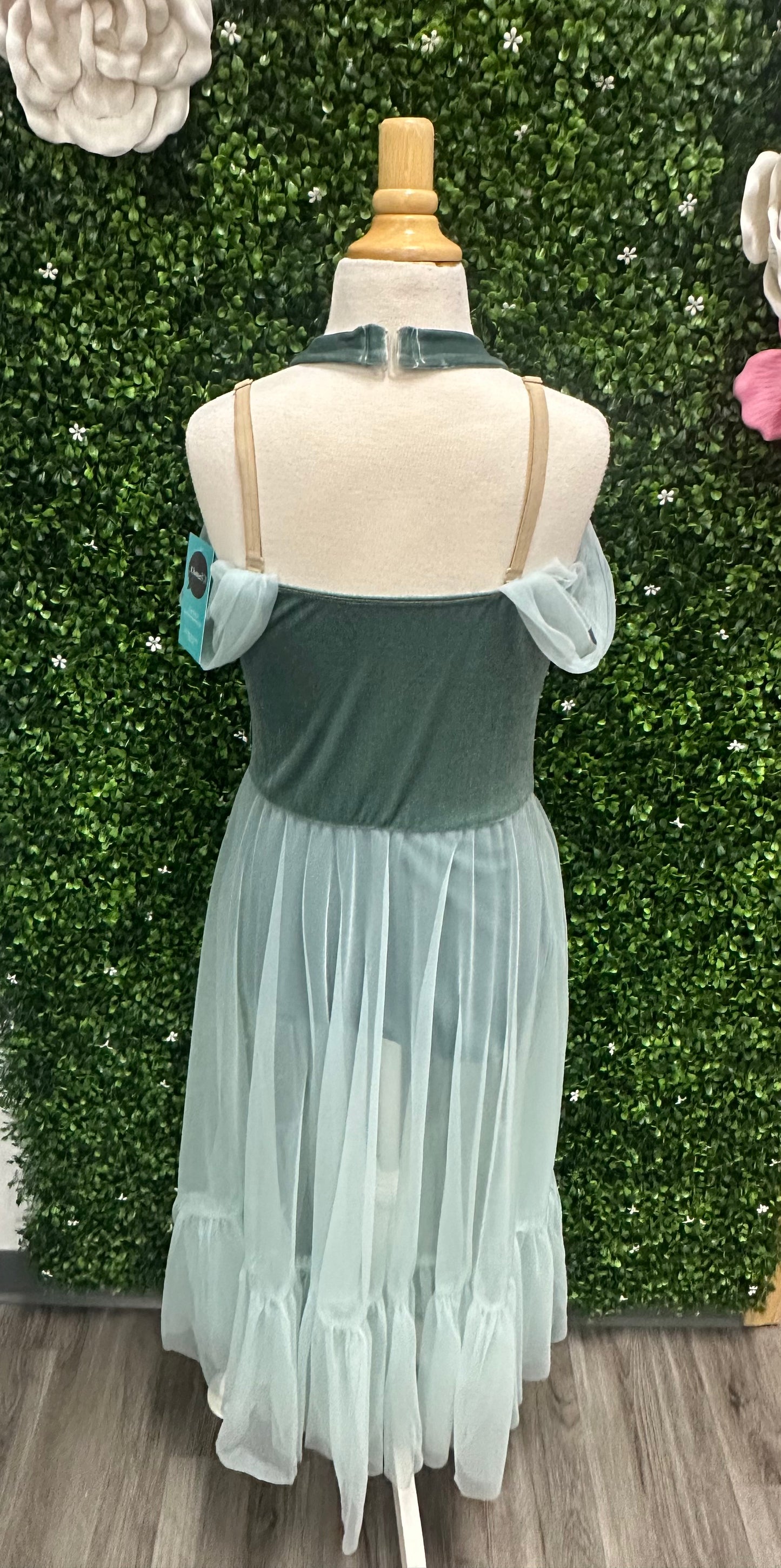 Adult Medium Sage Lyrical Costume