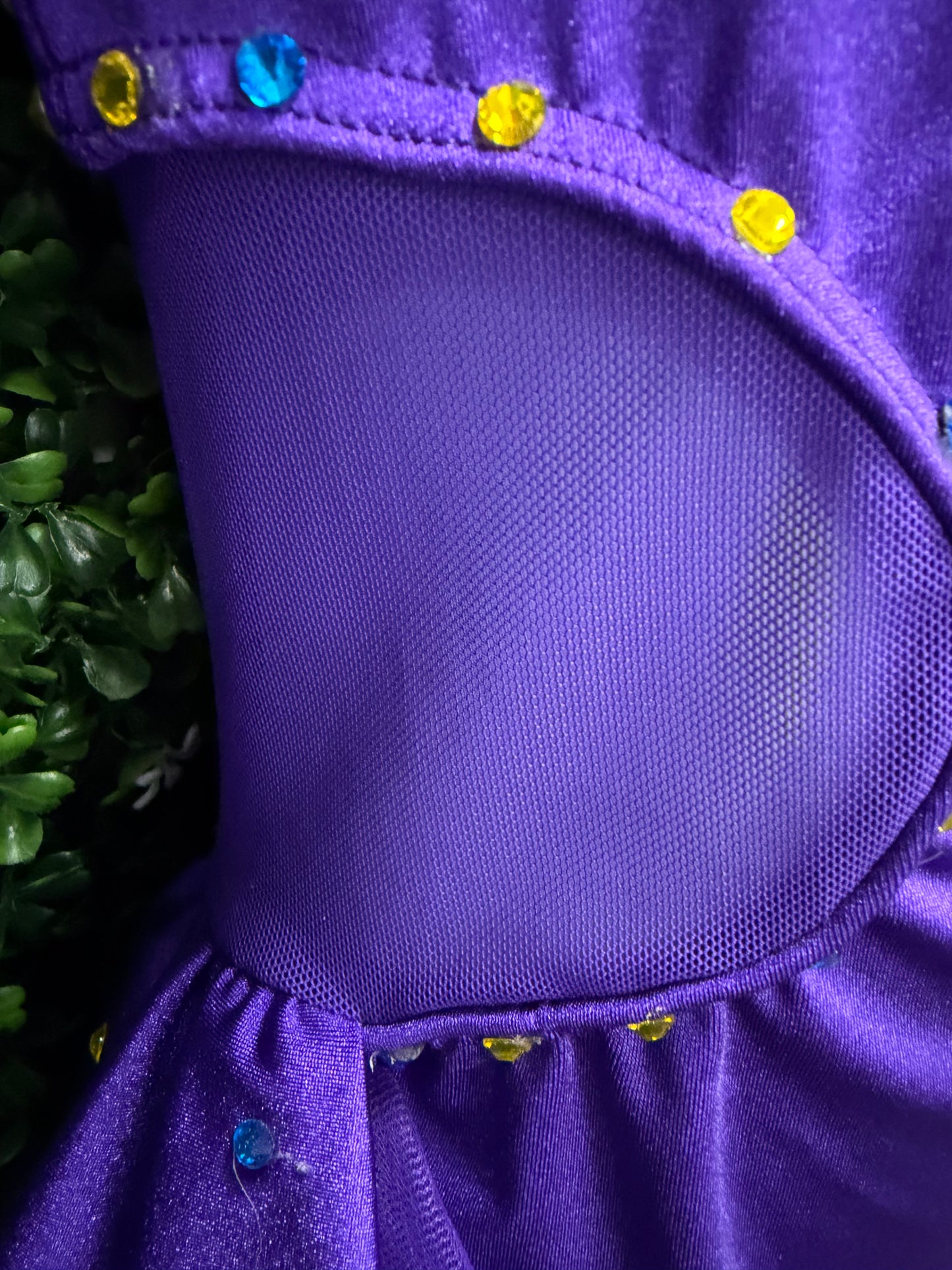 Child Small Purple Half Tulle Skirt Costume
