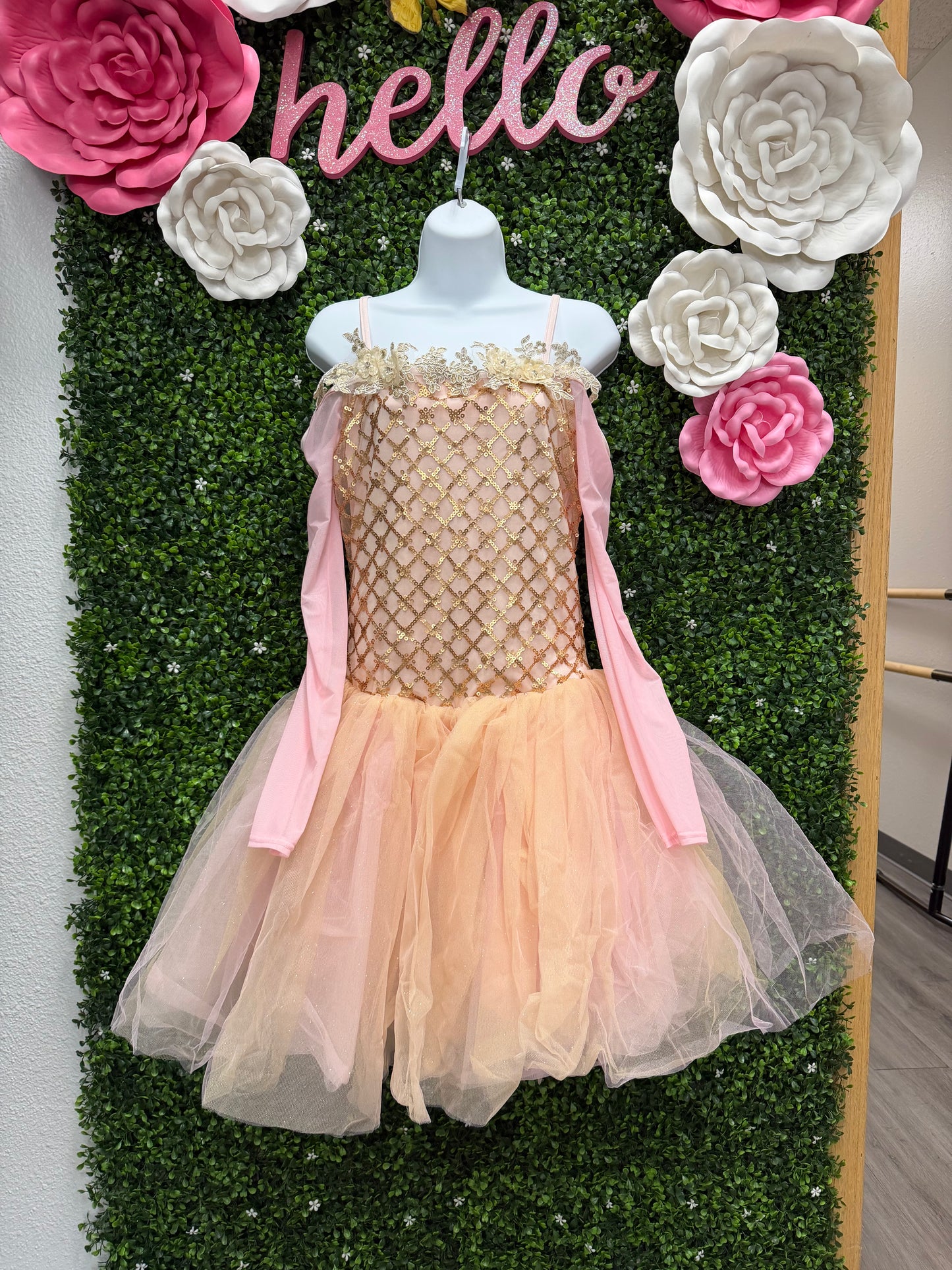 Adult Medium Pink Gold Ballet Costume