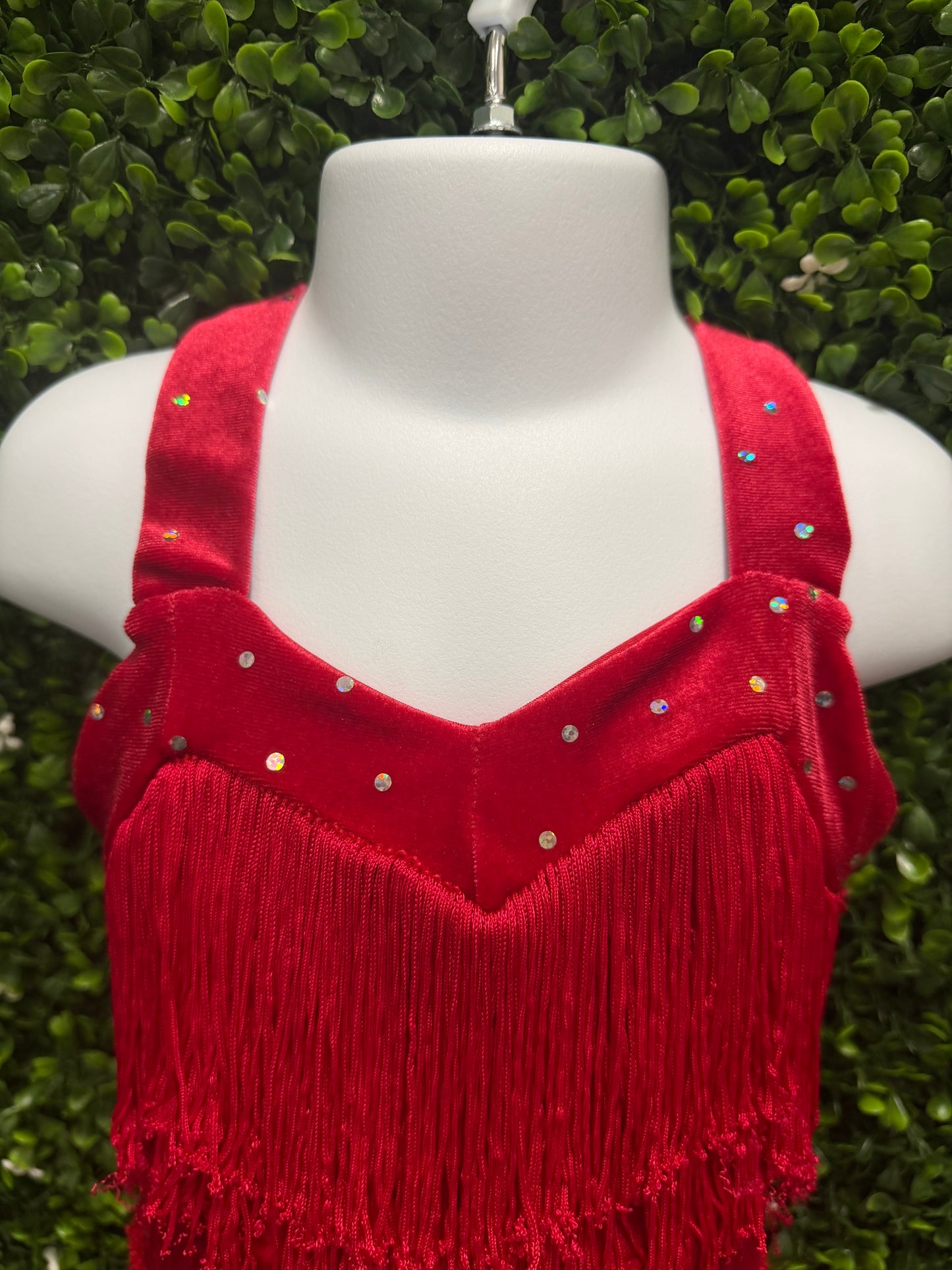 Child Small Red Fringe Dress