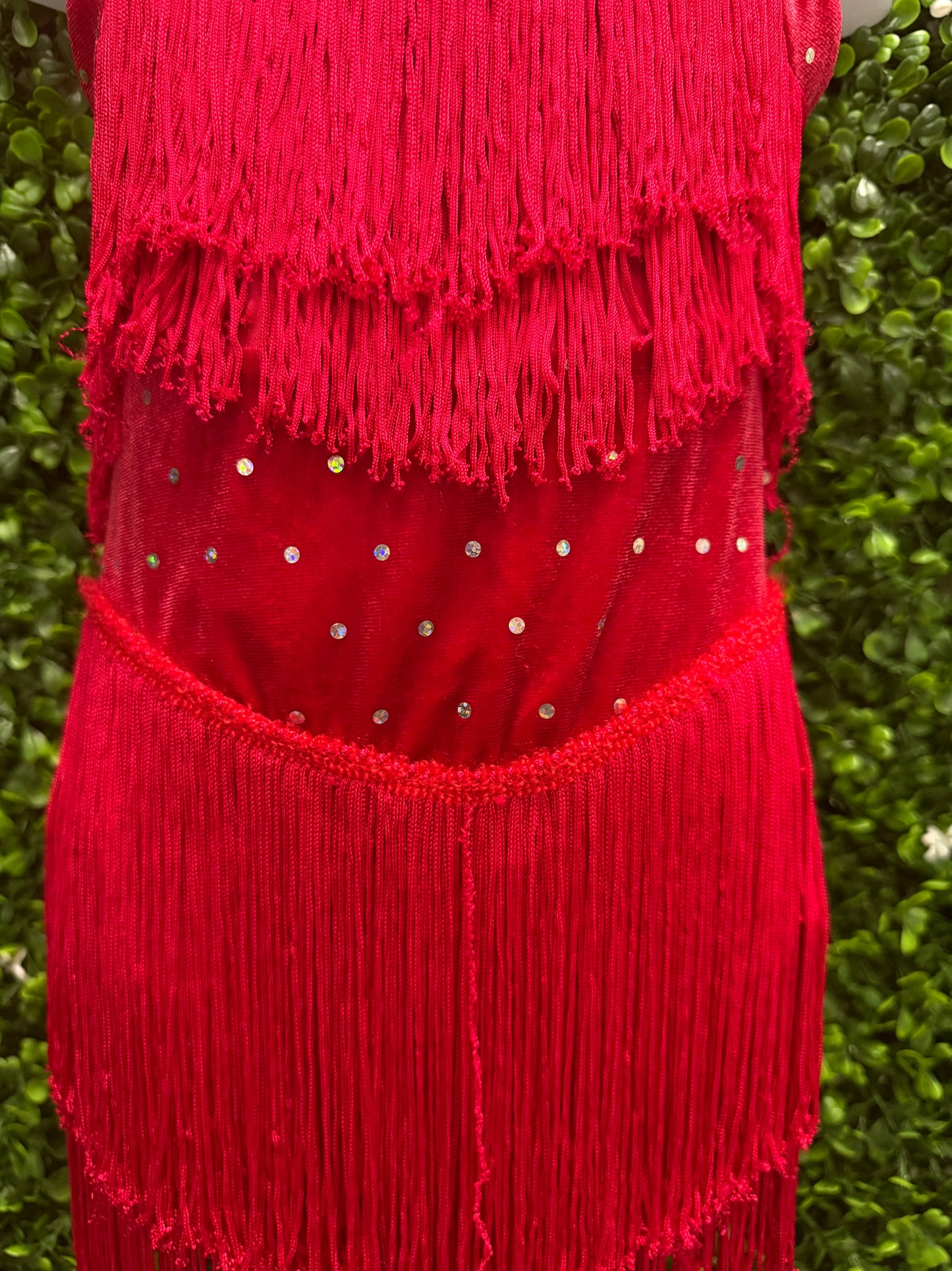 Child Small Red Fringe Dress