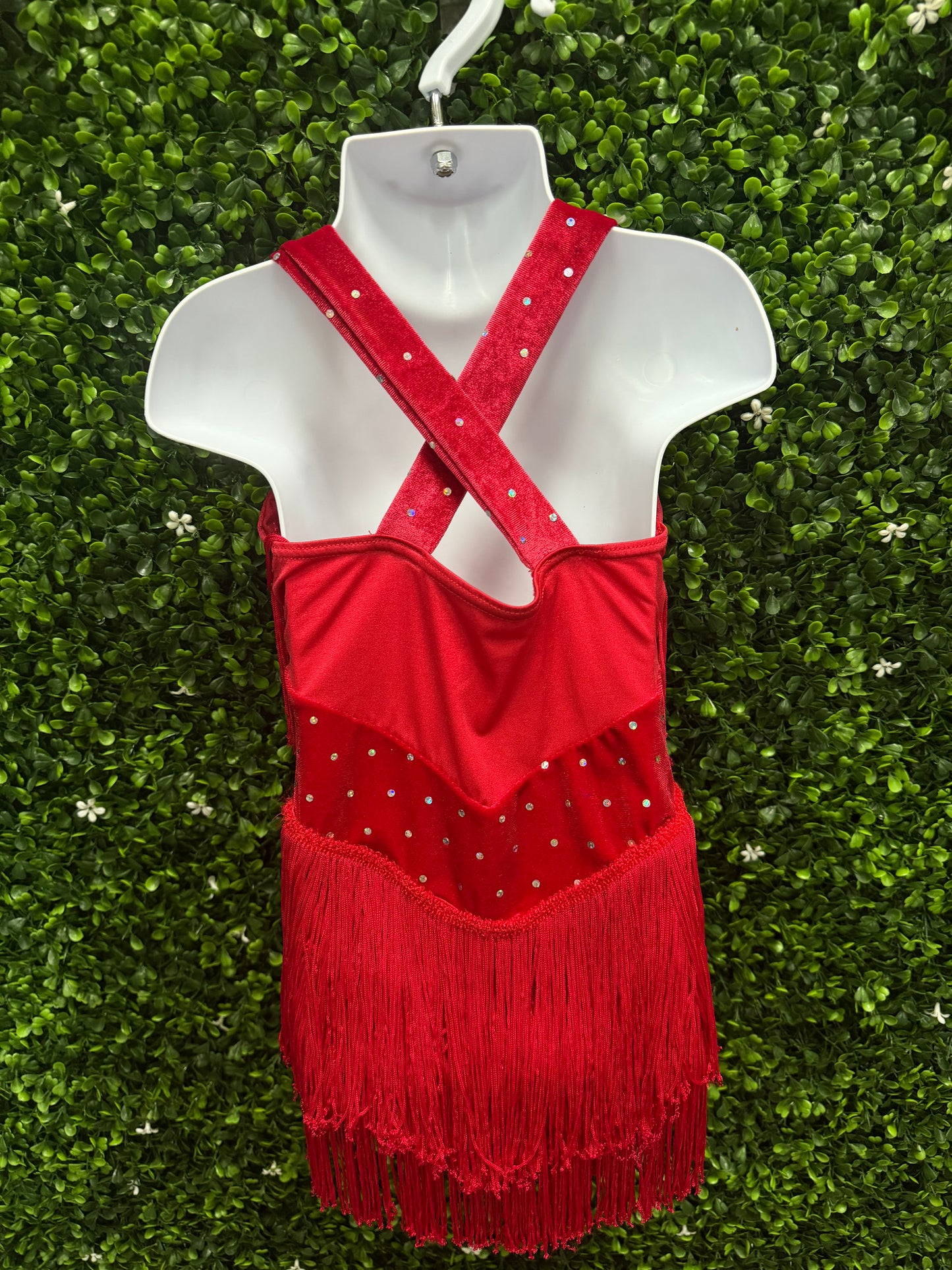Child Small Red Fringe Dress