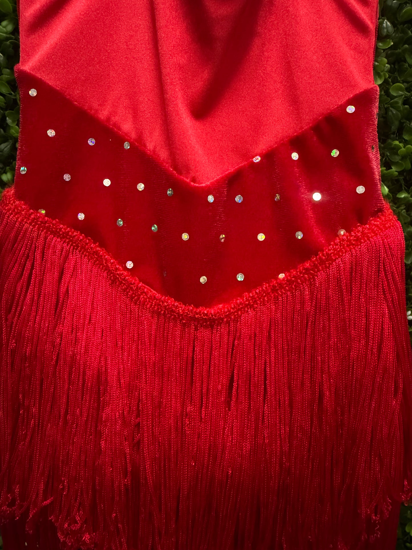 Child Small Red Fringe Dress
