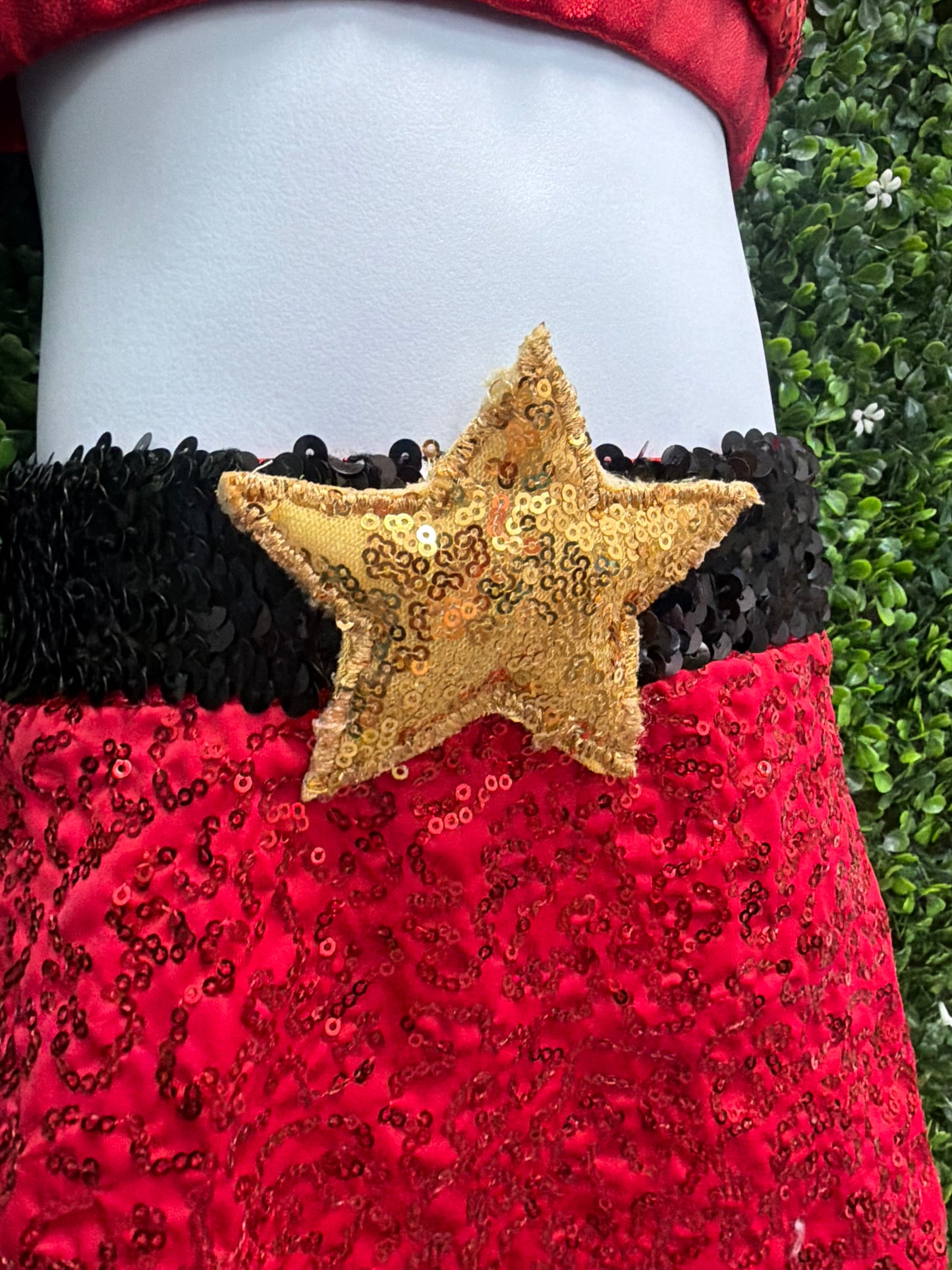 Child Intermediate Red Sequin Dance Costume Set with Gold Star Belt