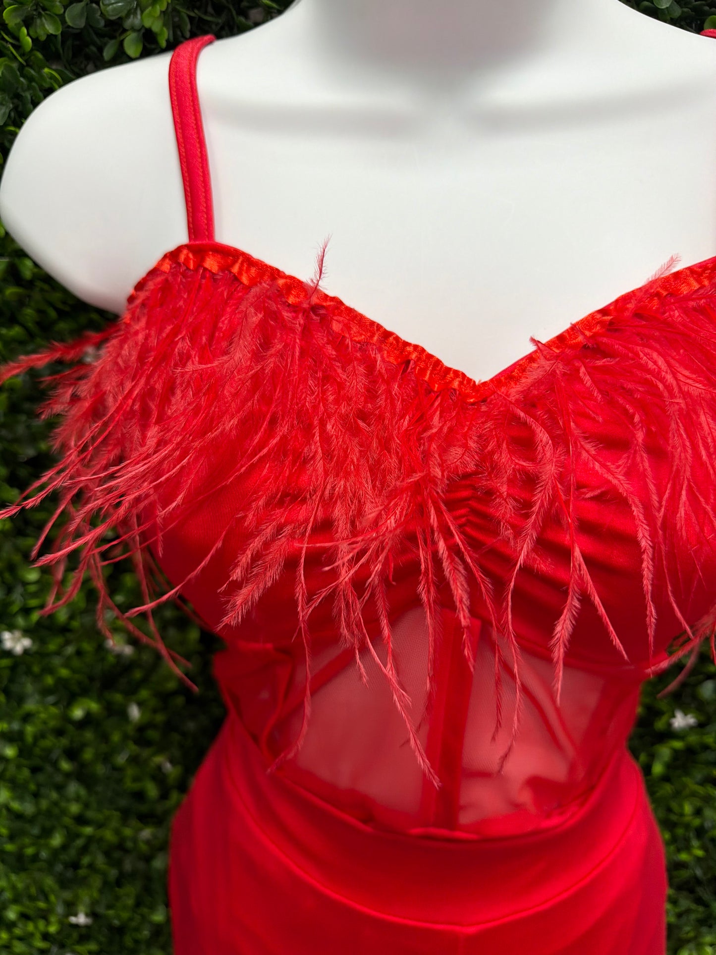 Adult Small Red Feathered Leotard and Pants