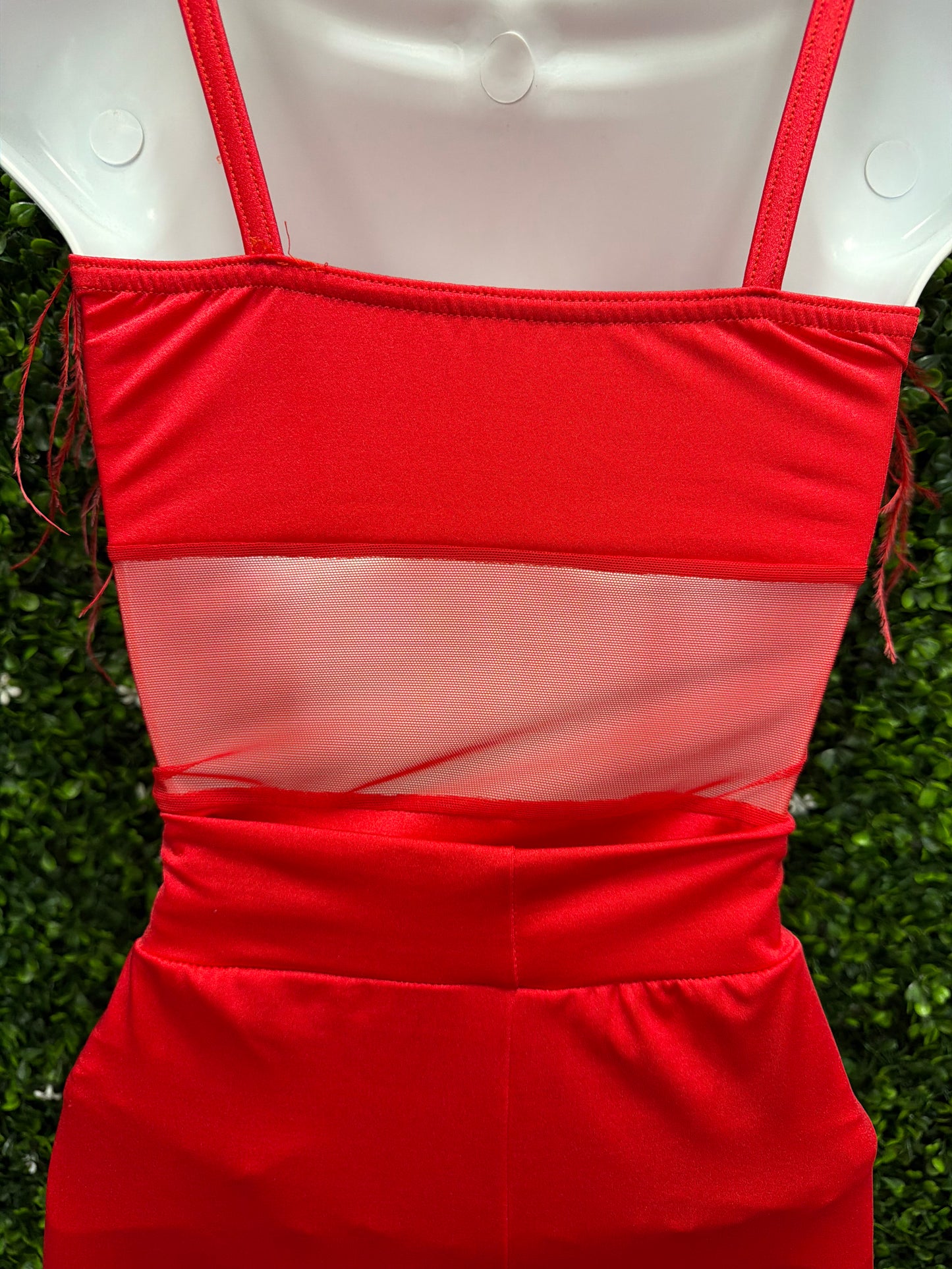 Adult Small Red Feathered Leotard and Pants