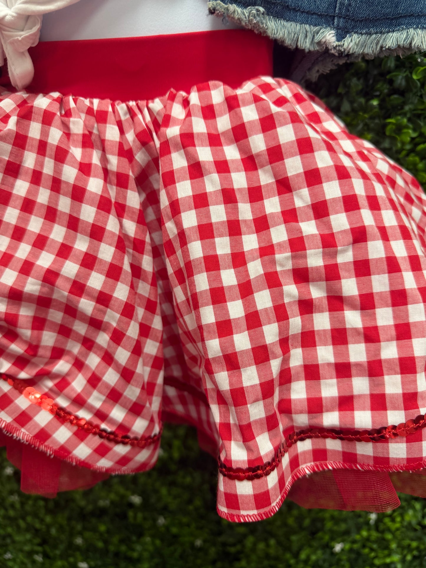 Child Small Blue Denim Vest with Red Gingham Skirt Costume