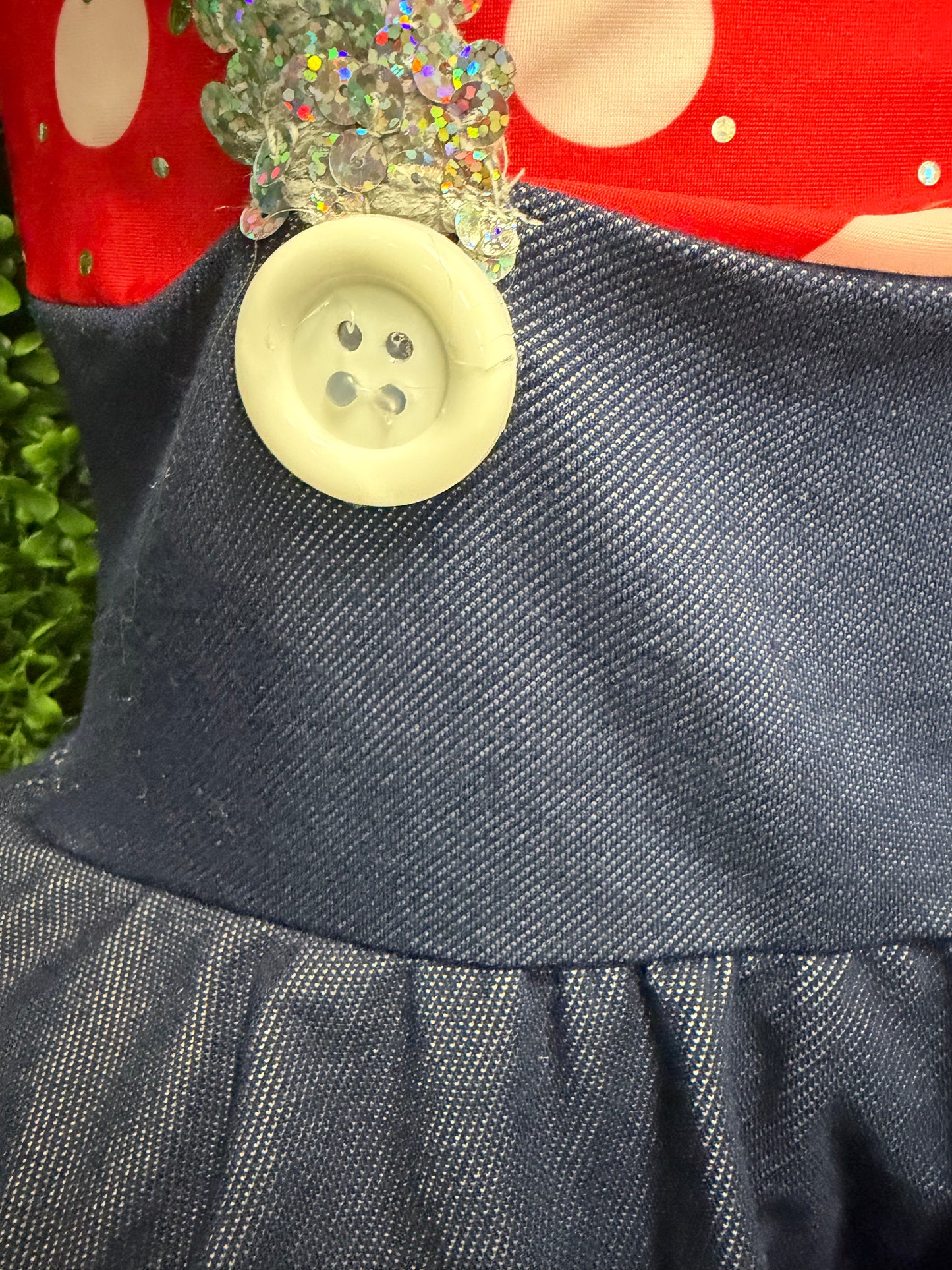 Child Small Red Denim Polkadot Costume