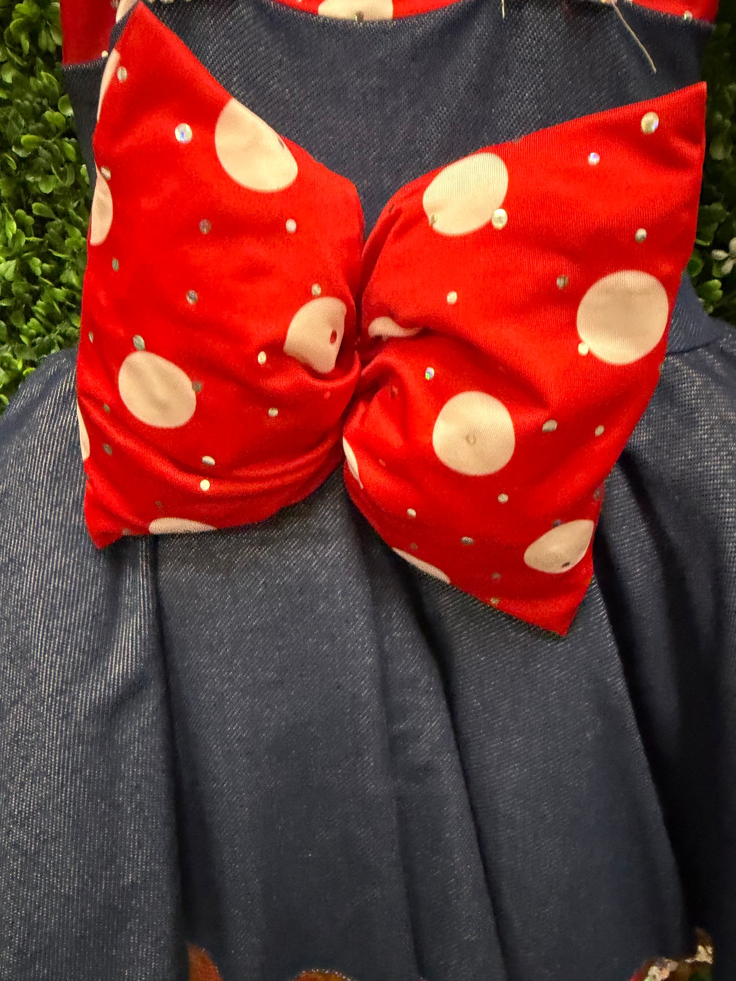Child Small Red Denim Polkadot Costume