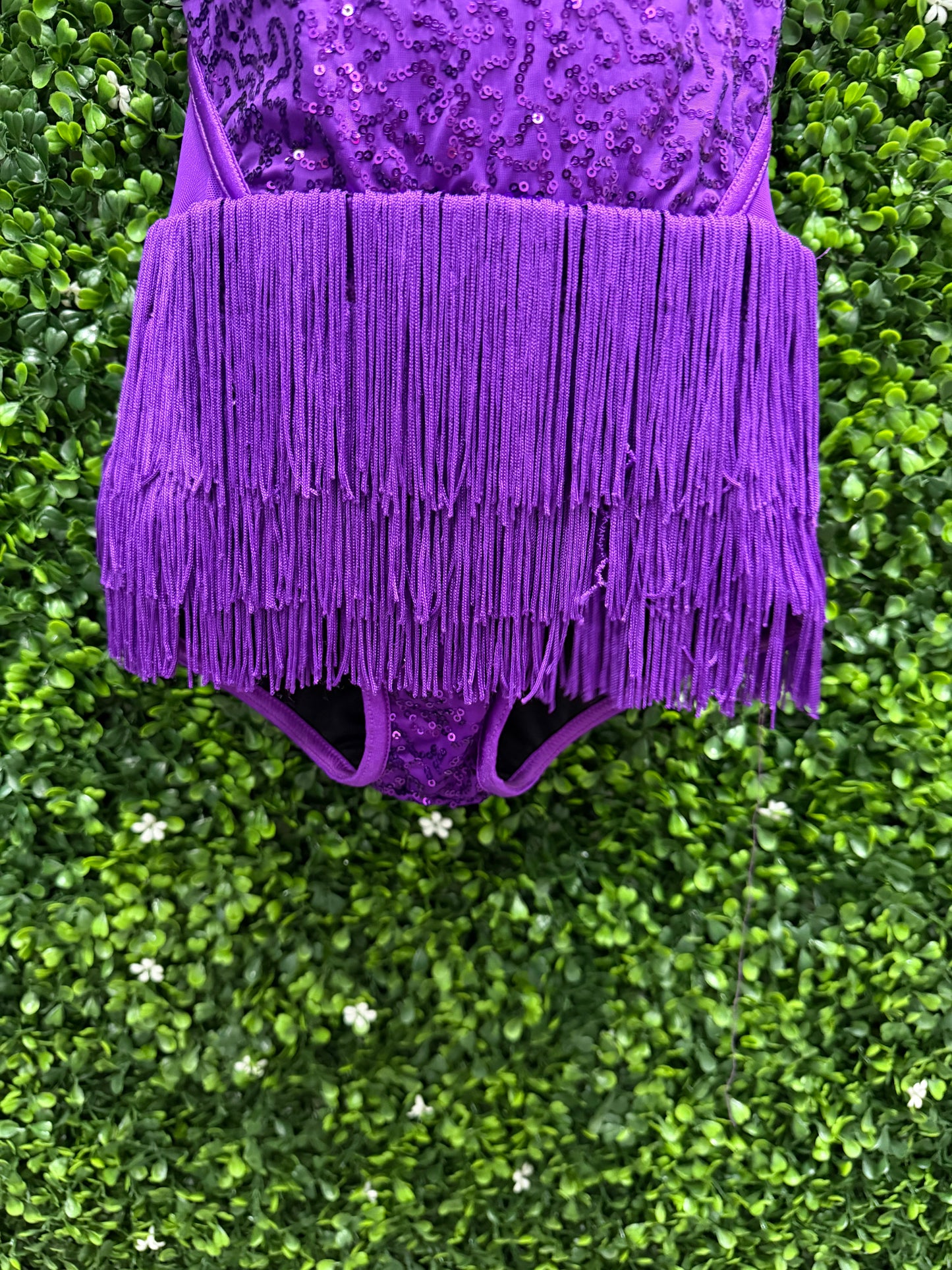 Child Intermediate Purple Fringe Sequin Costume