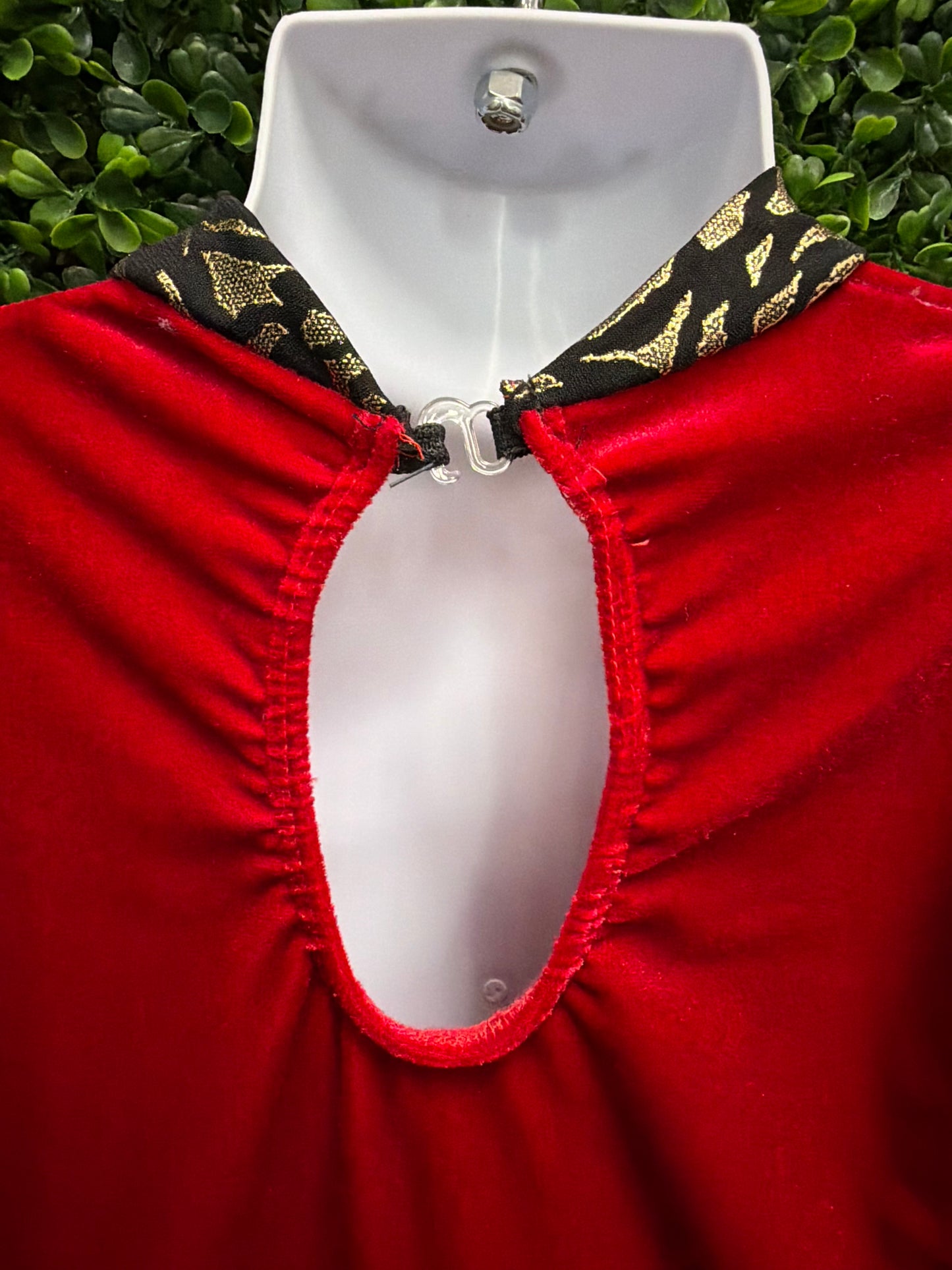 Child Medium Red Velvet Costume