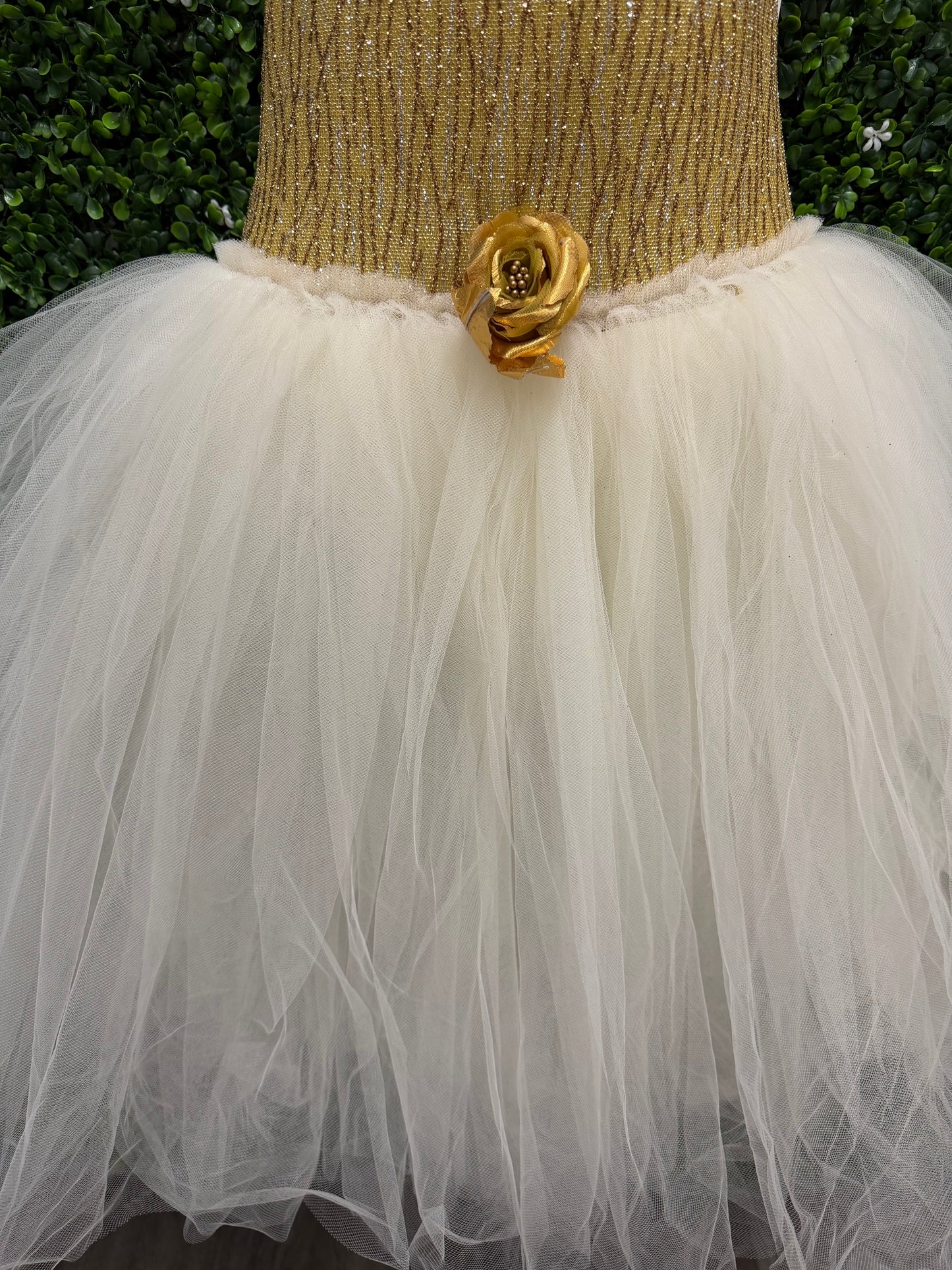 Child Medium Gold/Cream Ballet Dress