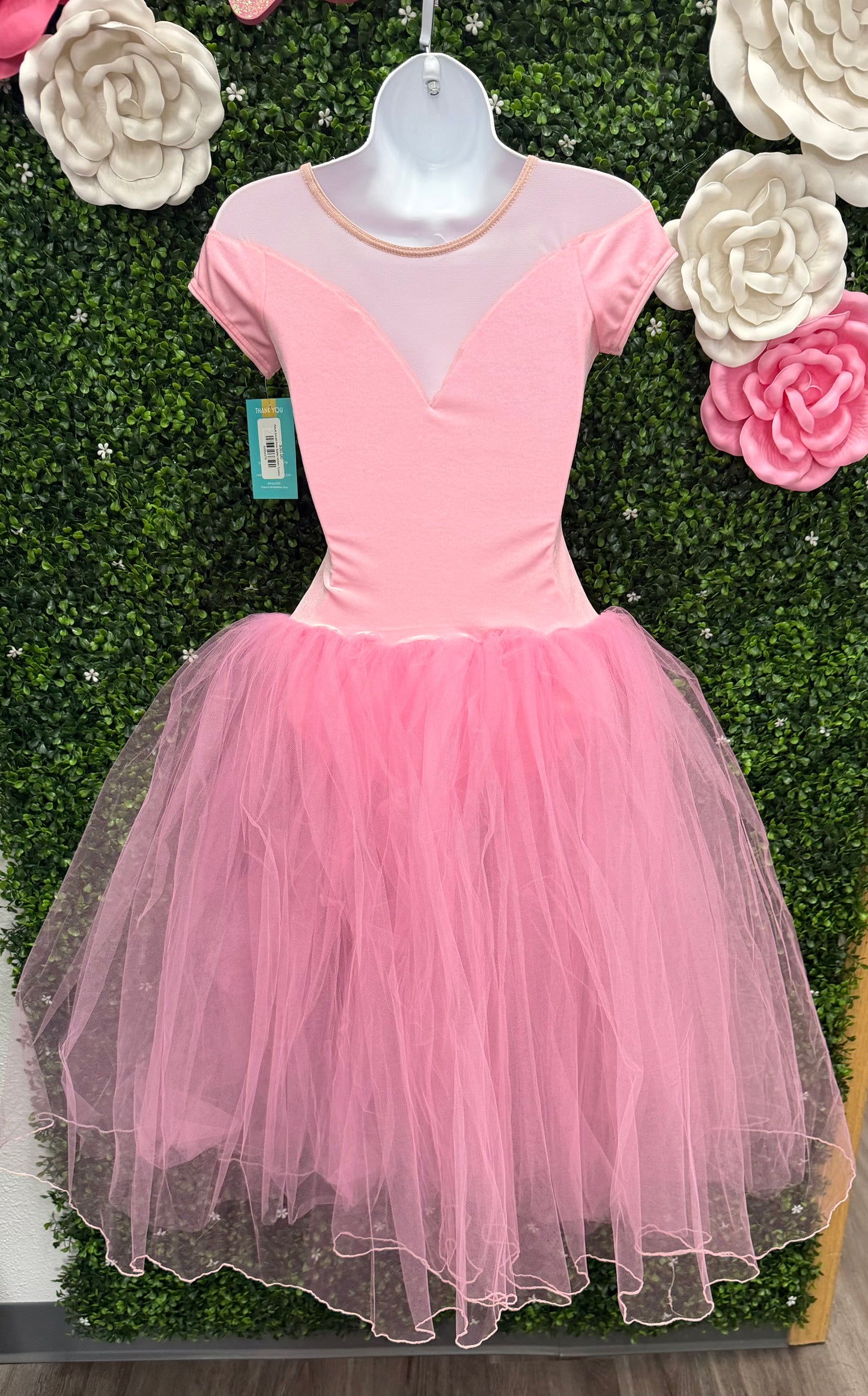 Adult Small Pink Ballet Velvet Costume