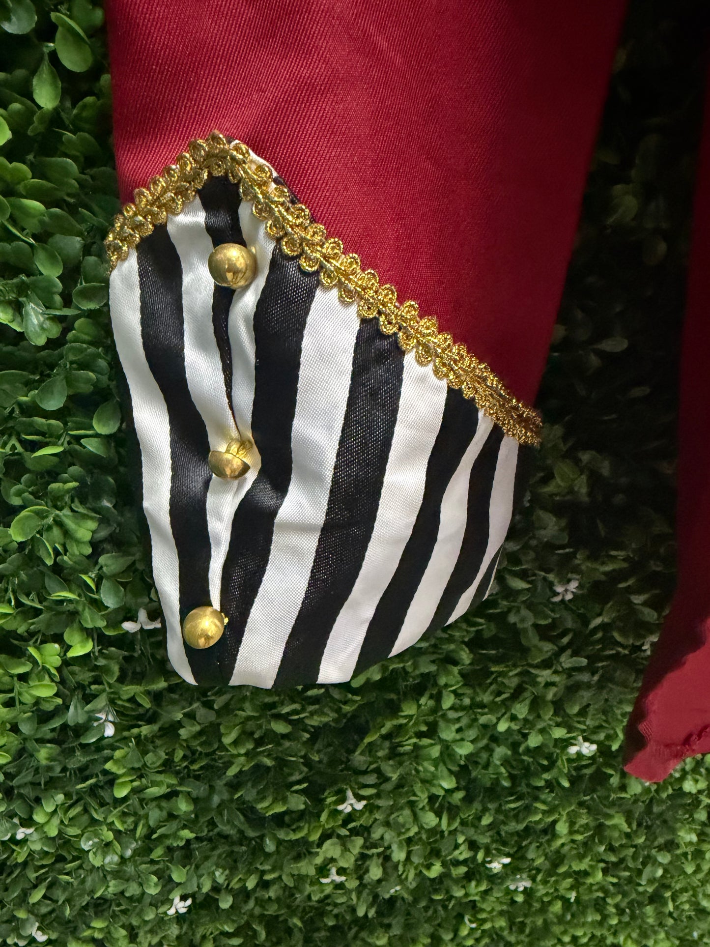 Adult Small Ringmaster Costume