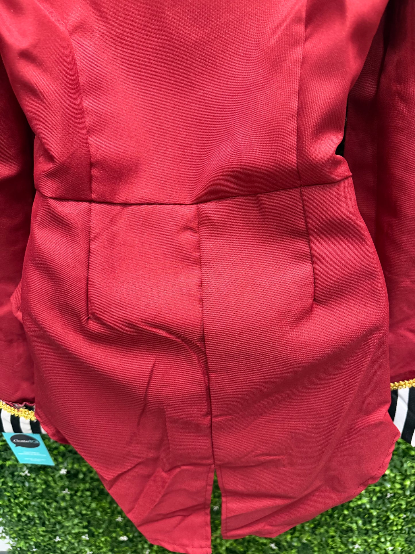 Adult Small Ringmaster Costume