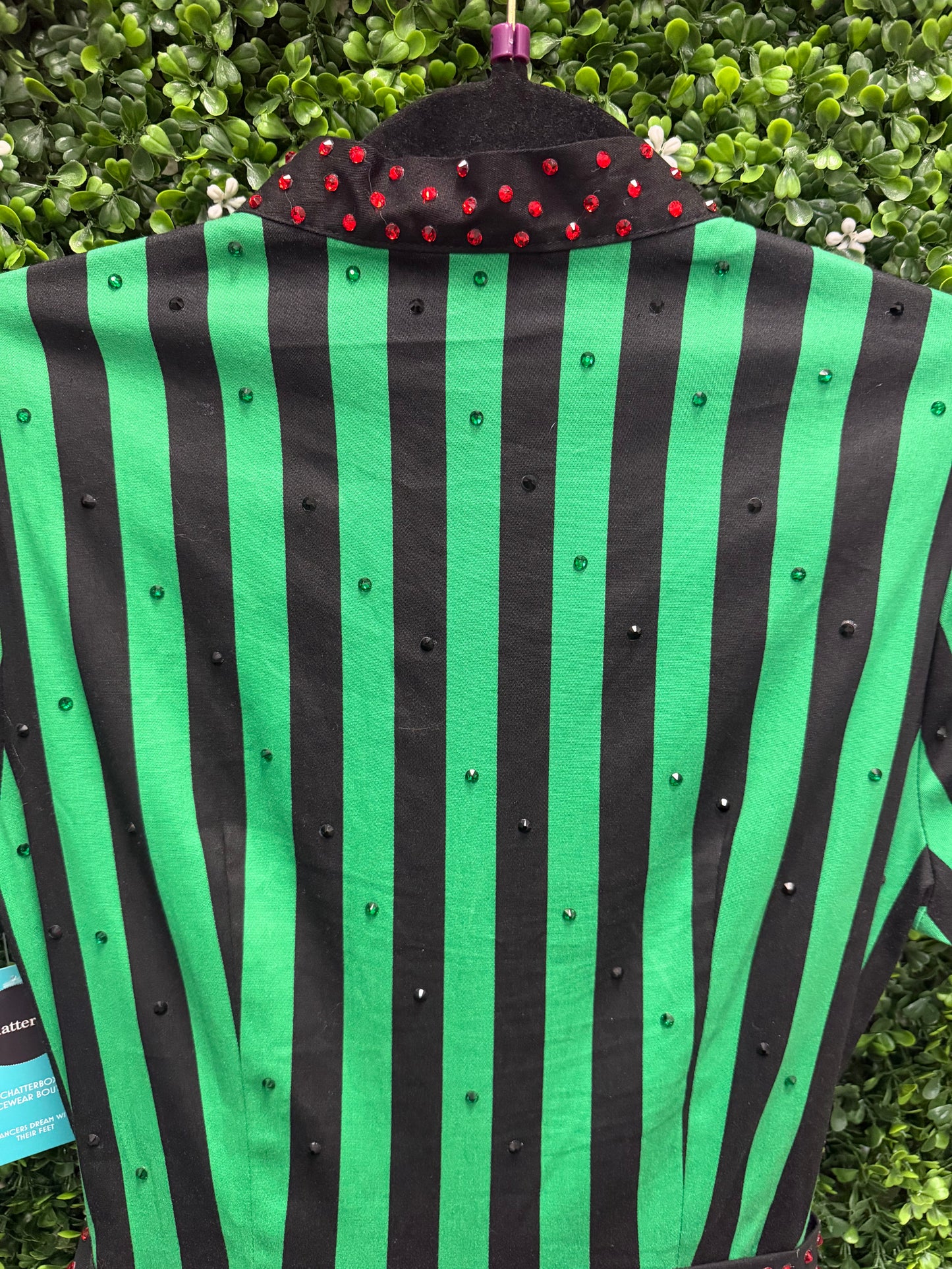 Adult Small Green and Black Stripped Costume
