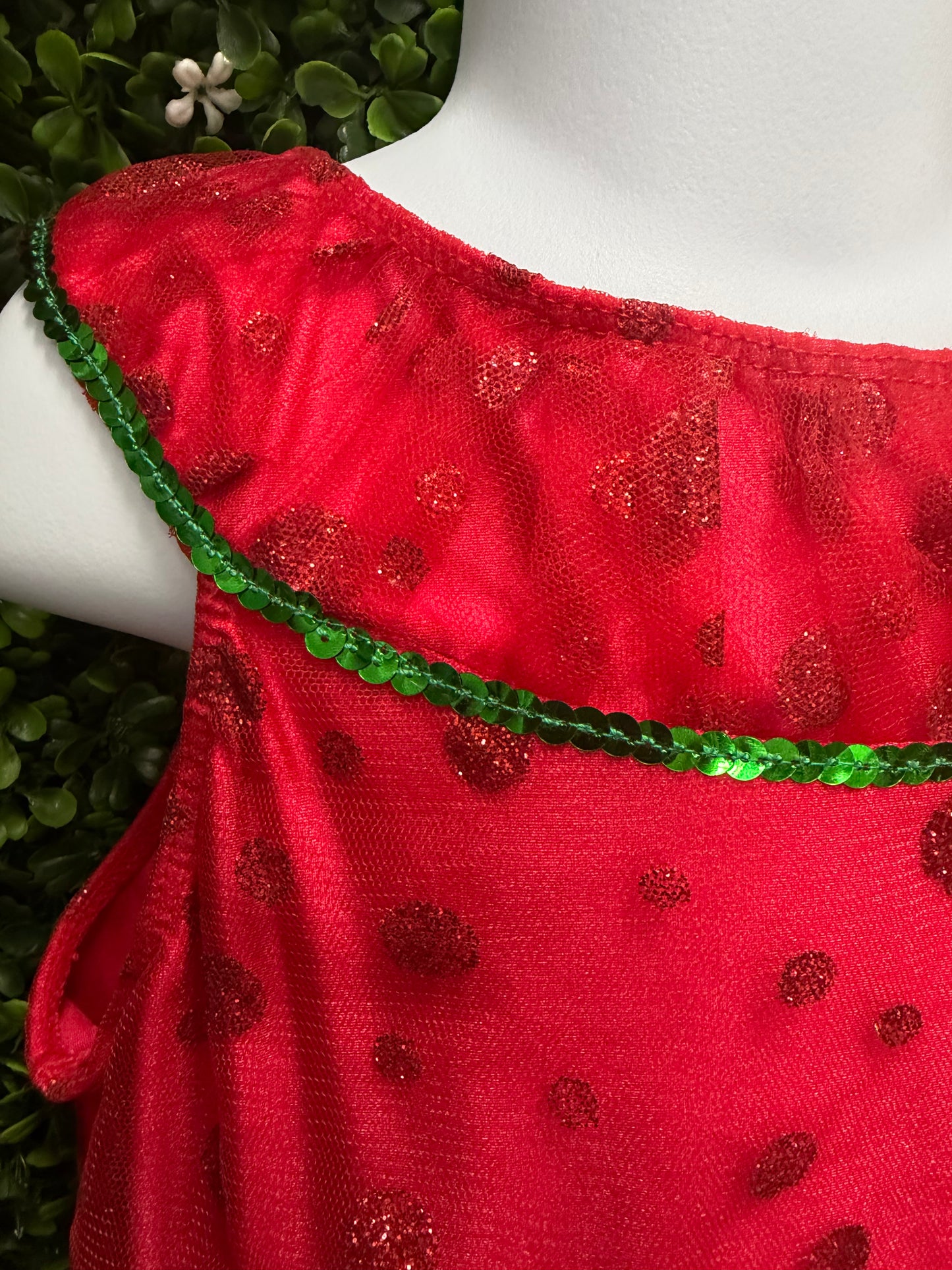 Child Large Red And Green Ballet Costume