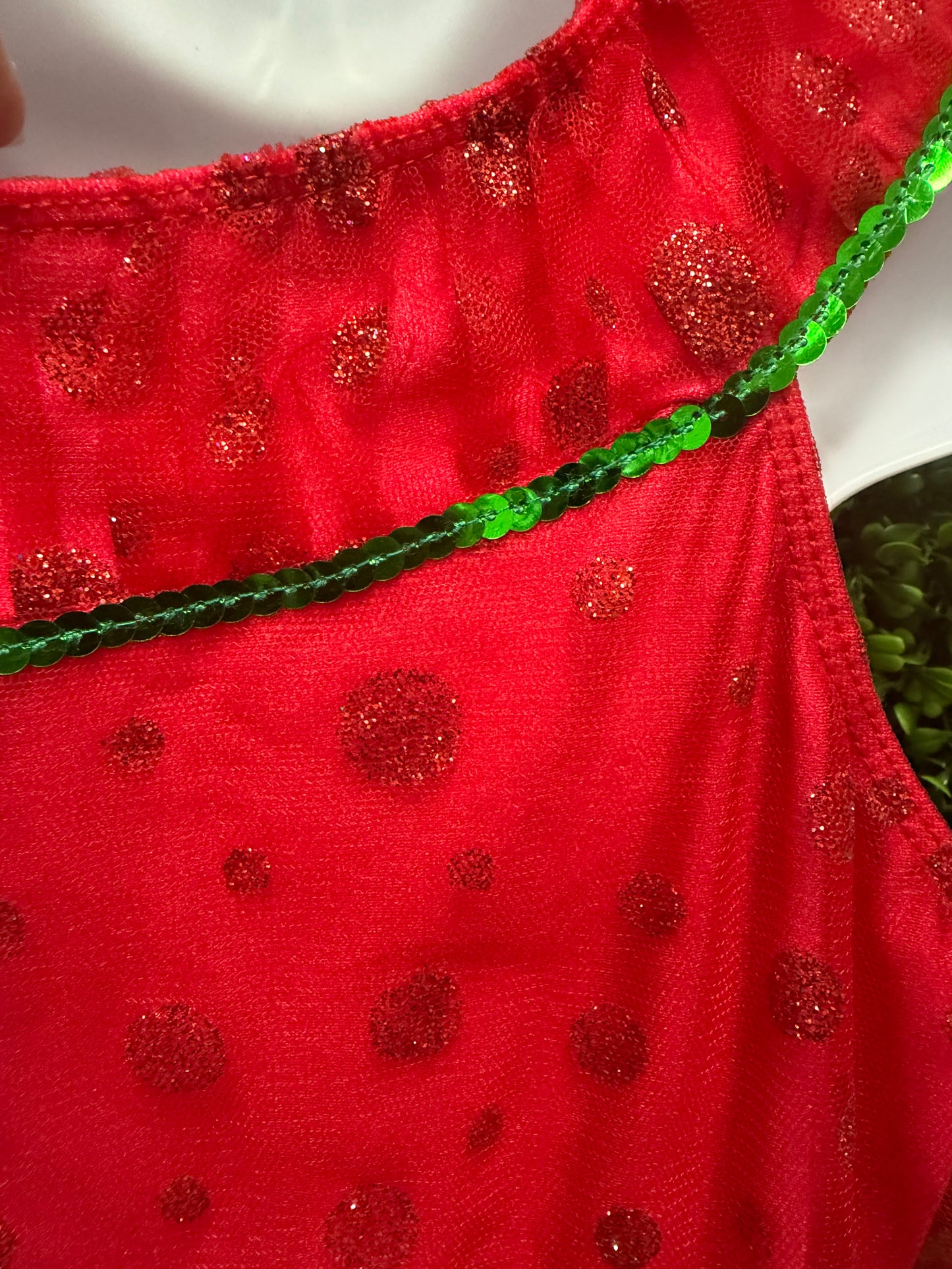 Child Large Red And Green Ballet Costume