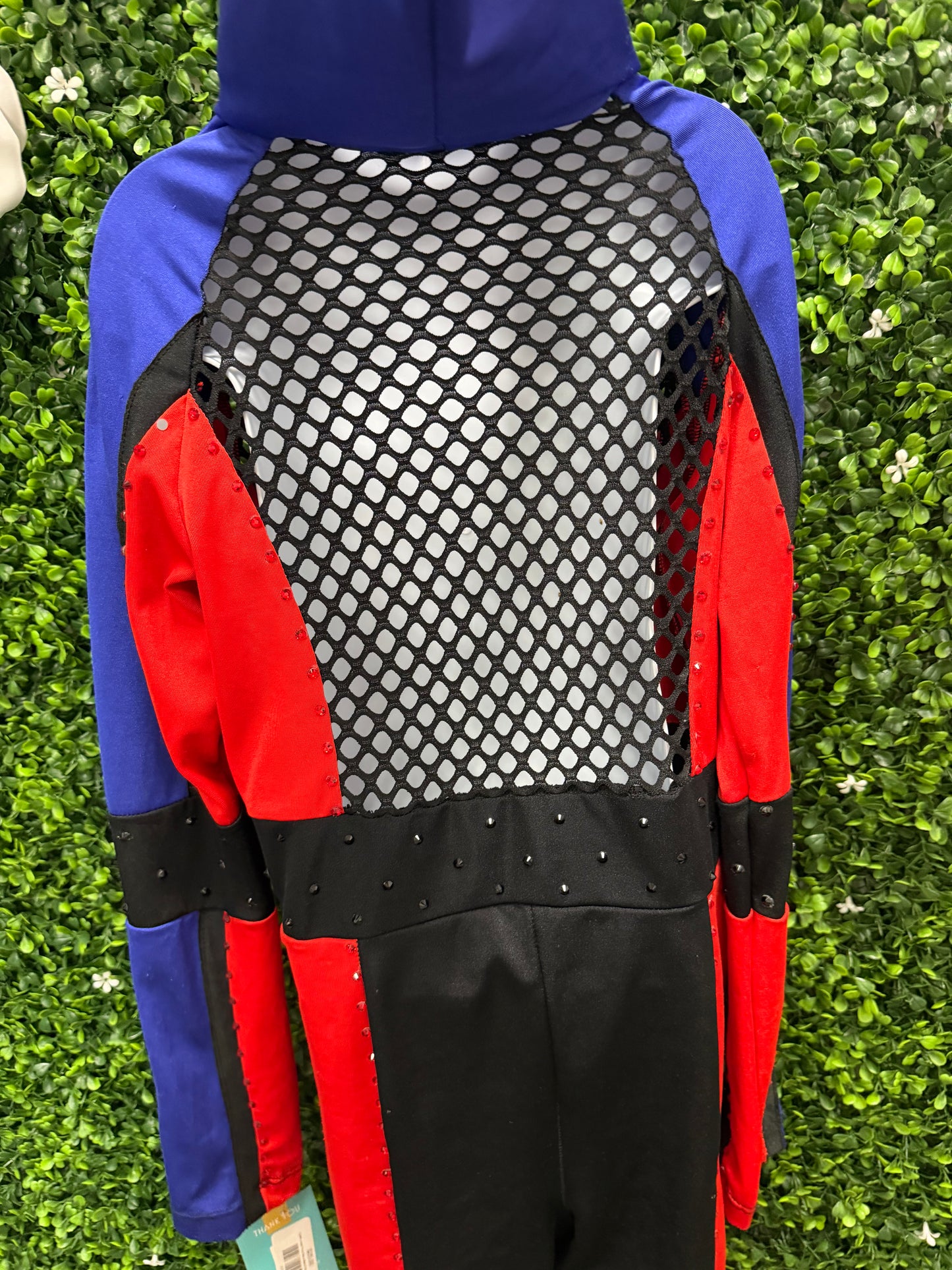 Child Large Red Blue Mesh Biketard Costume
