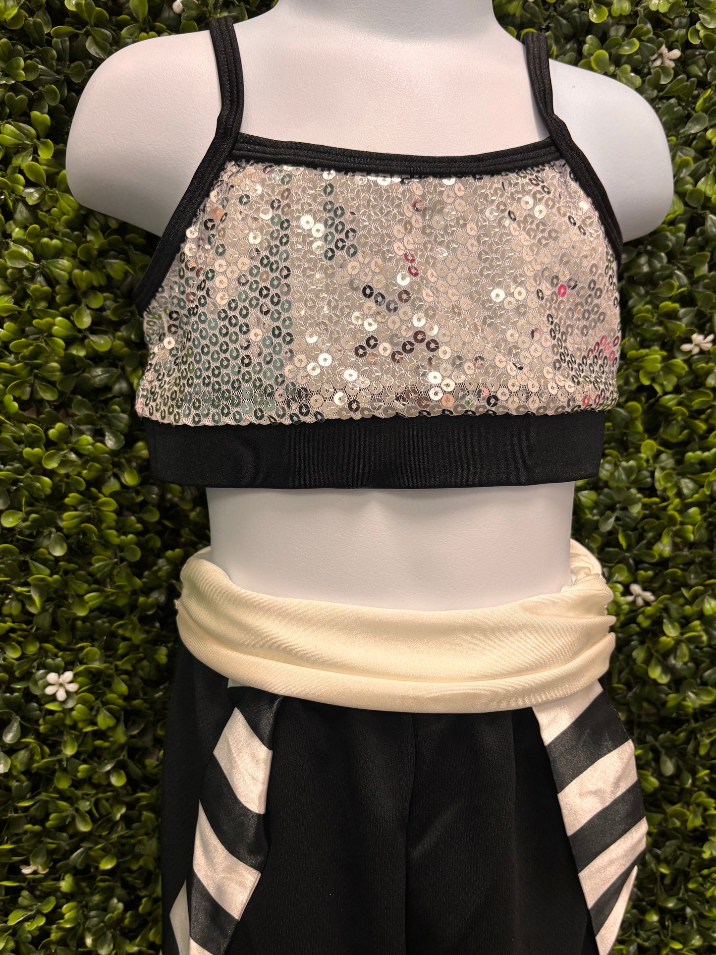 Child Small Red Sequin Silver Costume