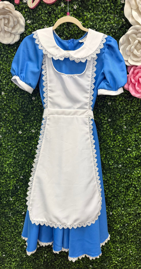 Adult X-Small Alice Costume