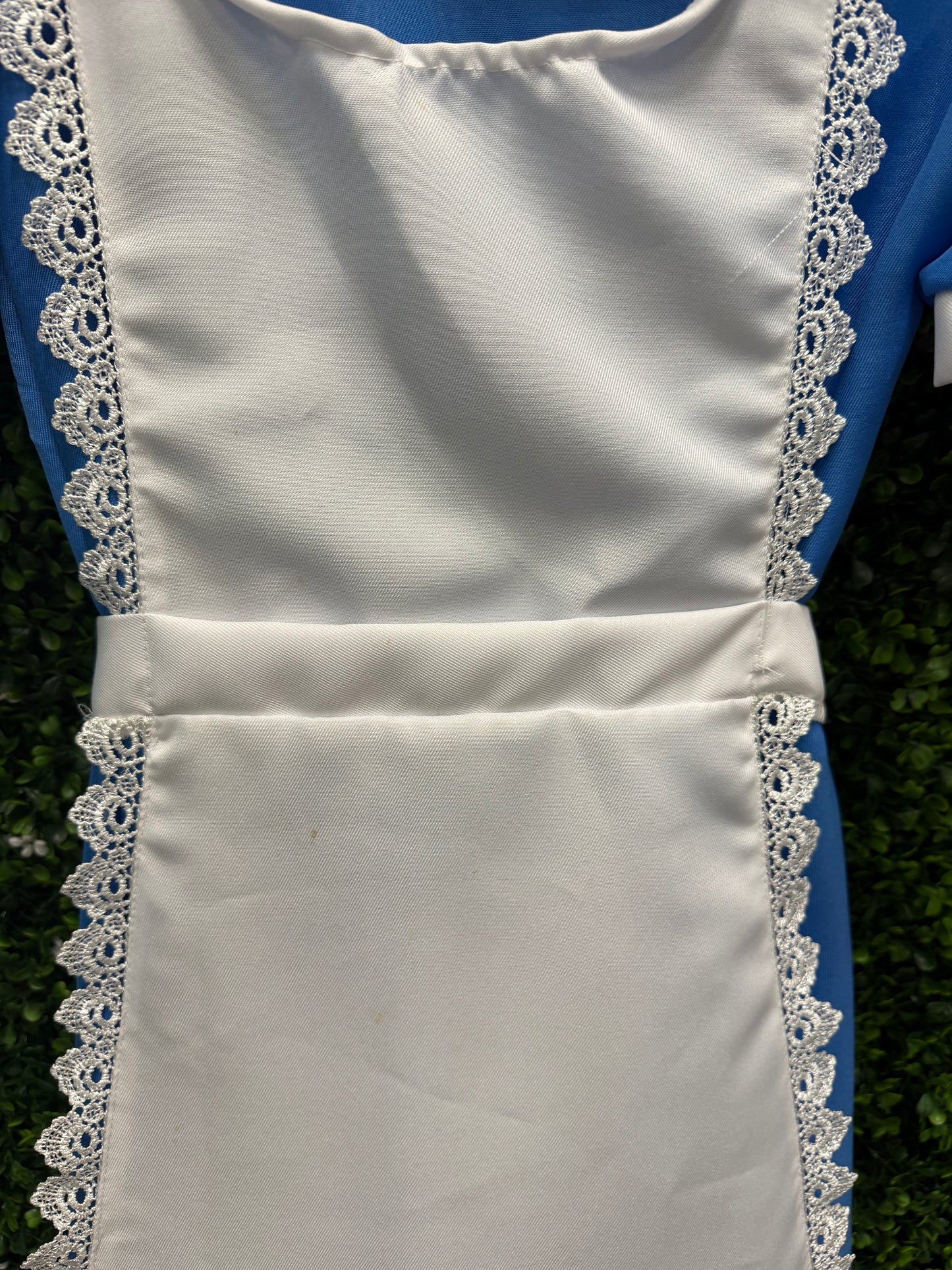 Adult X-Small Alice Costume