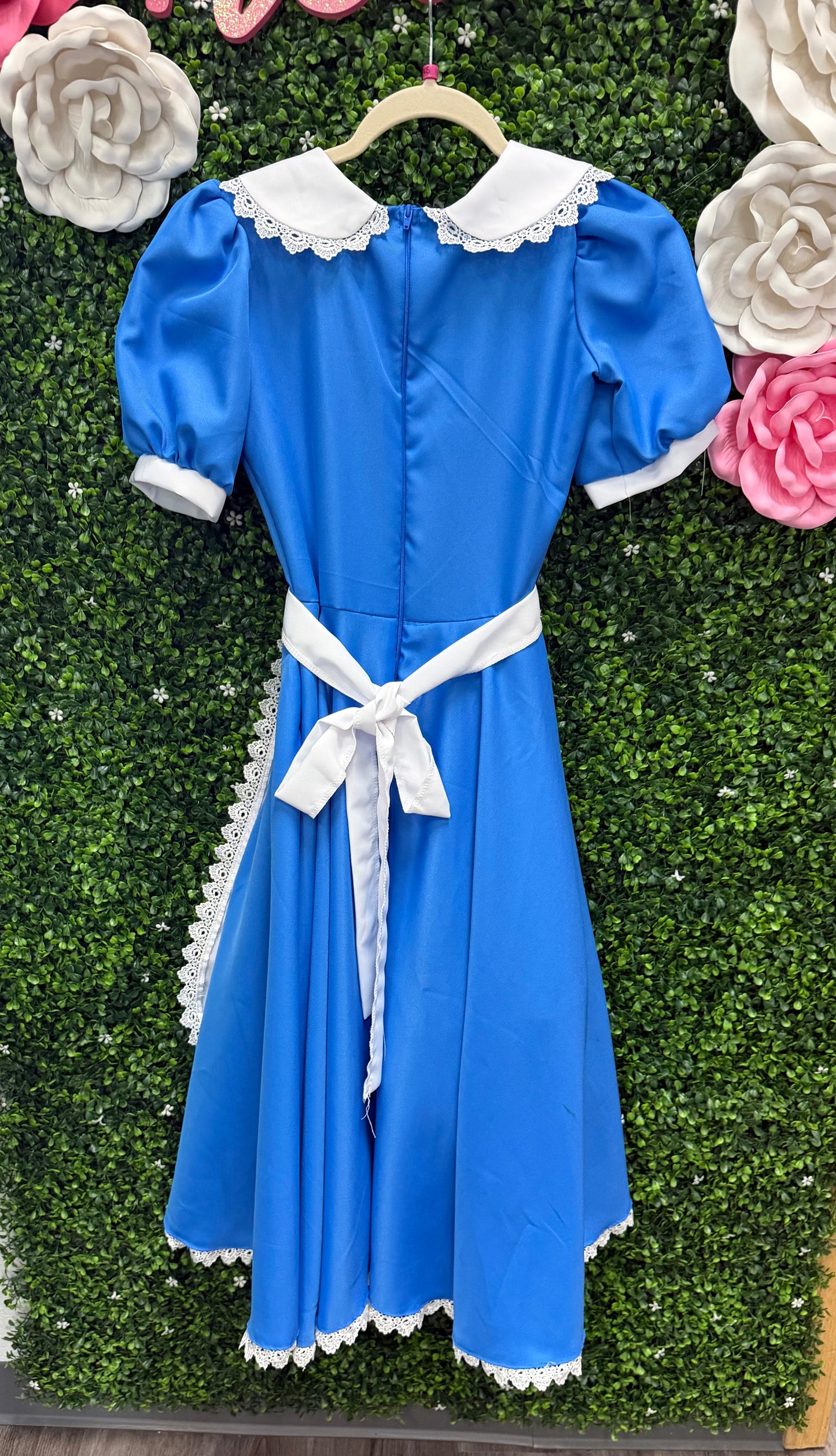 Adult X-Small Alice Costume