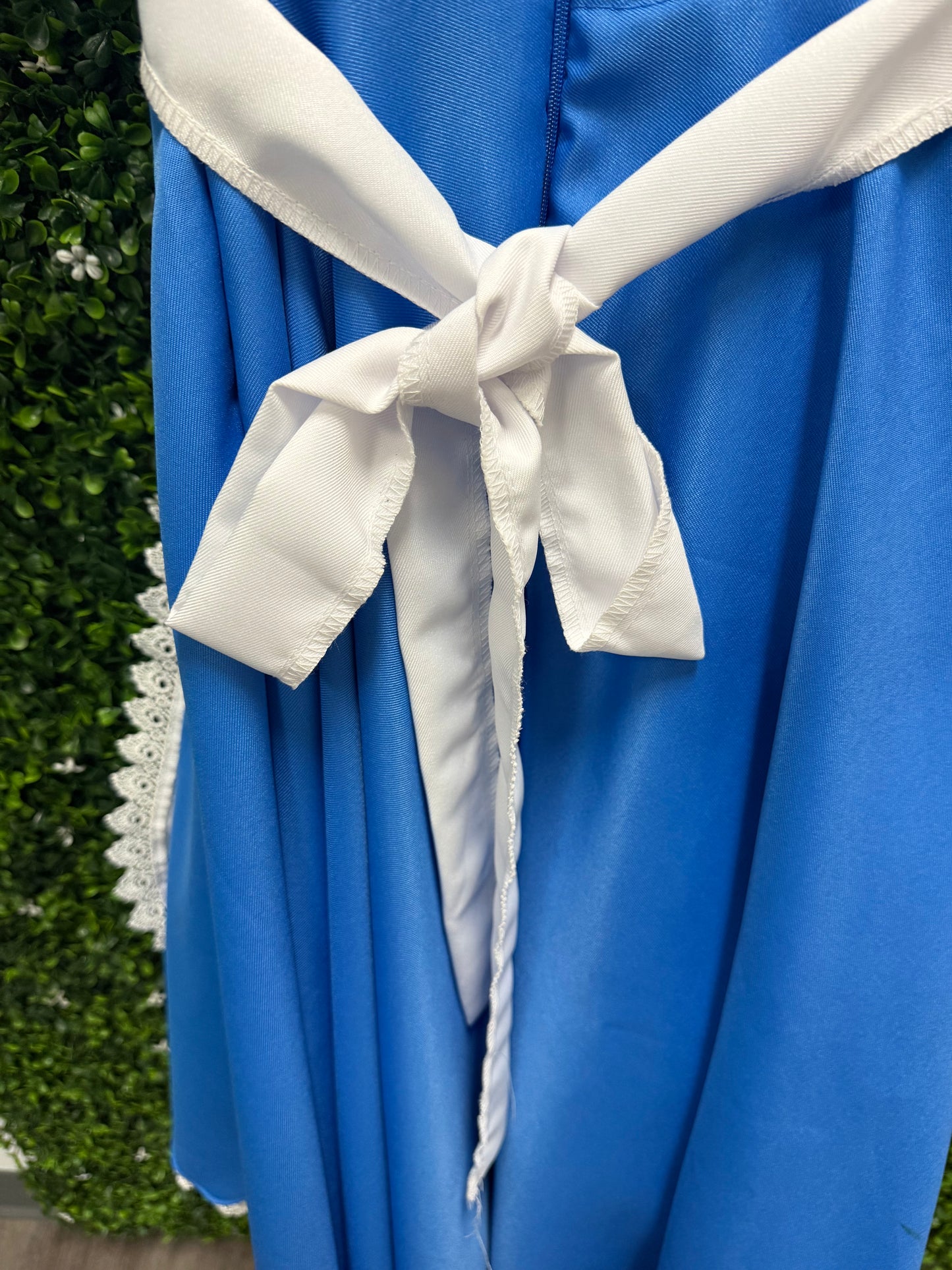 Adult X-Small Alice Costume