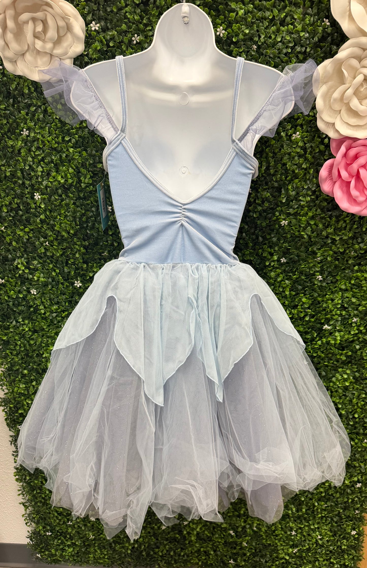Adult X-Small Blue Ballet Costume