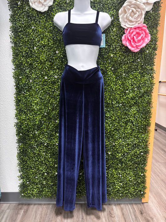 Adult Small 2 Piece Blue Velvet Costume