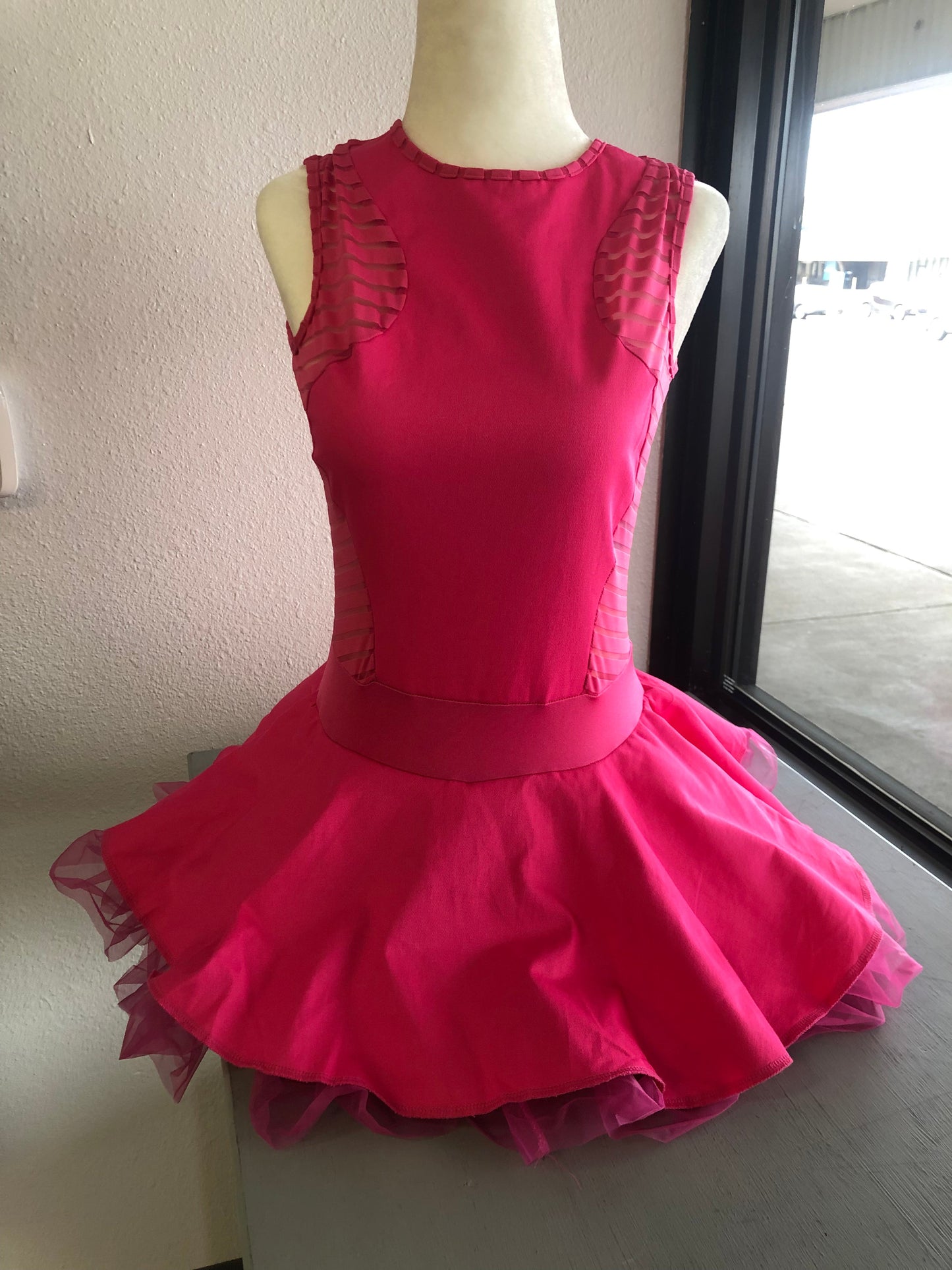 Adult Medium Pink Dress