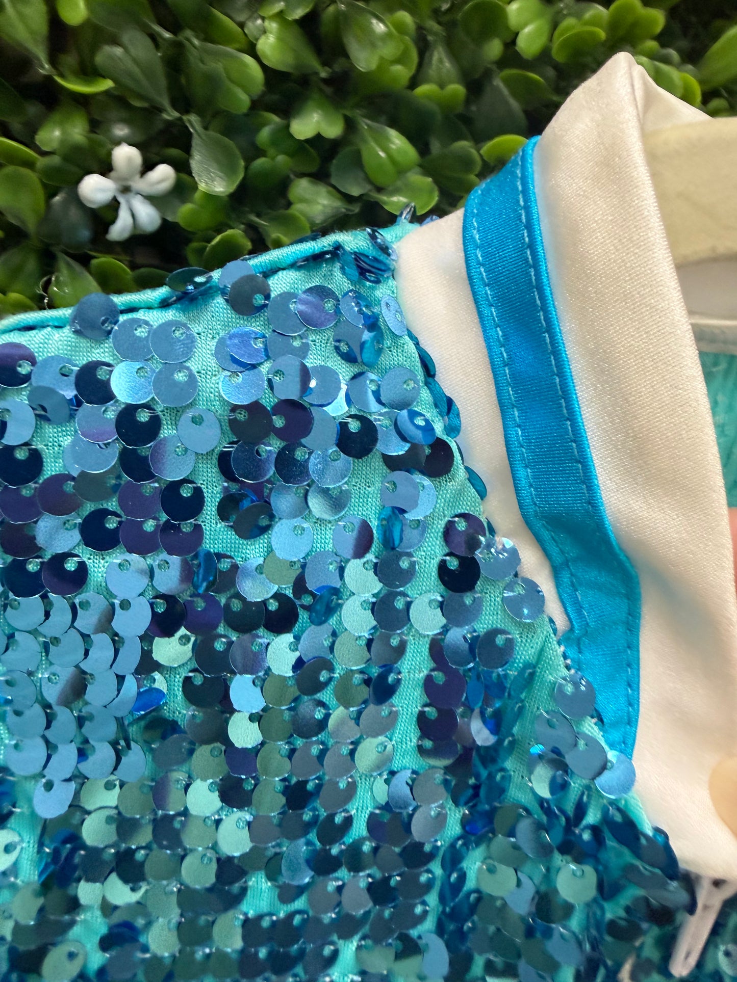 Child Intermediate Blue Sequin Costume