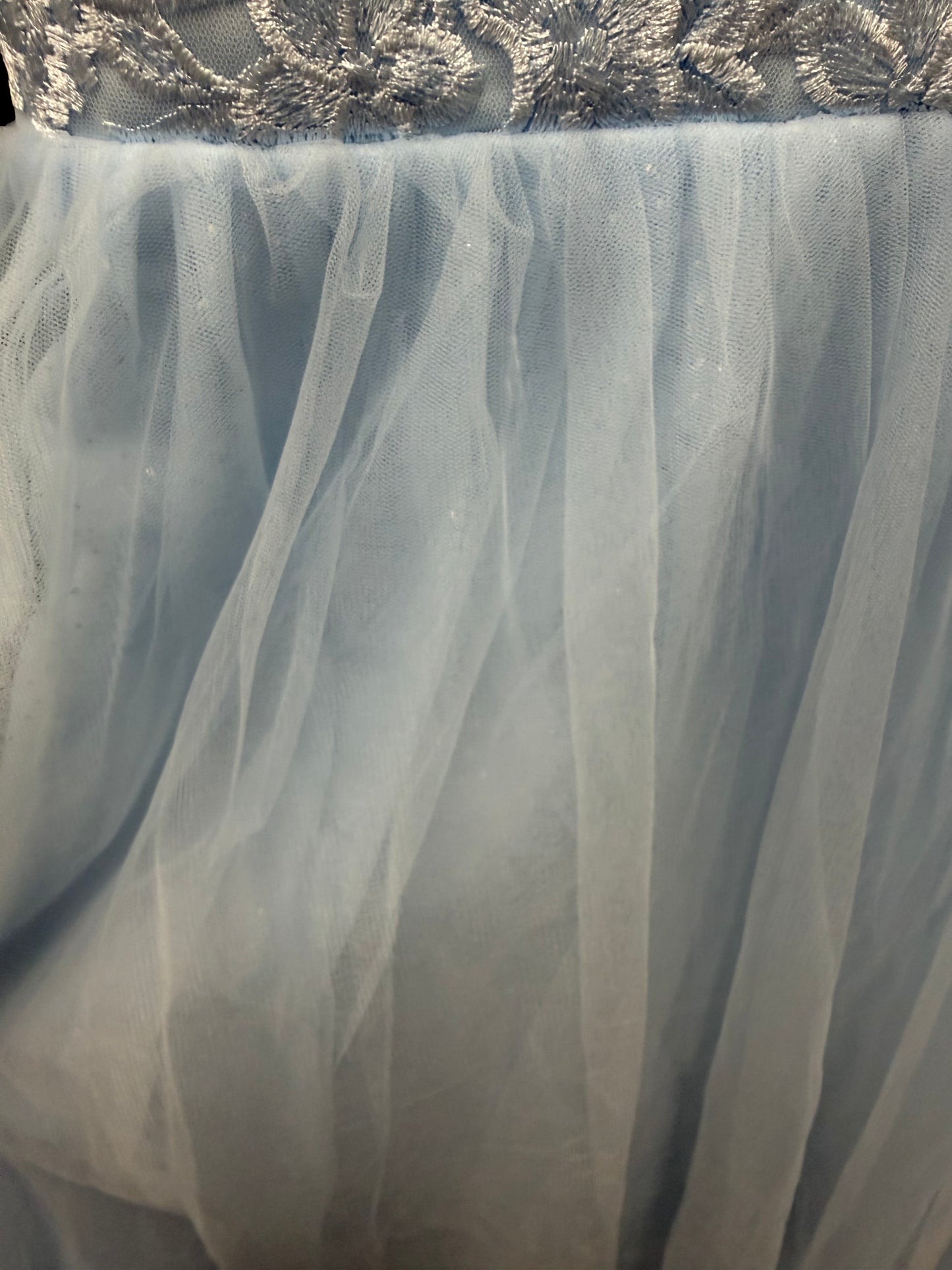 Child Large Blue Tulle Dress
