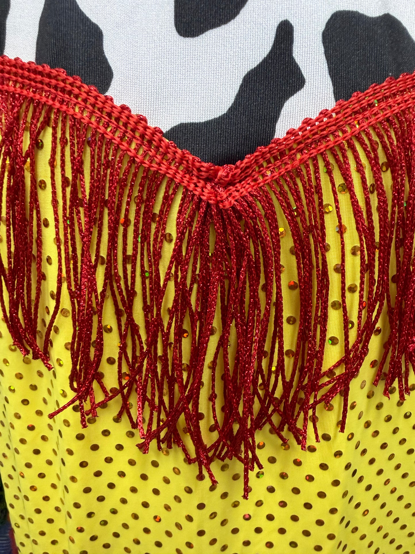 Child Small Cowgirl Fringe Dance Costume